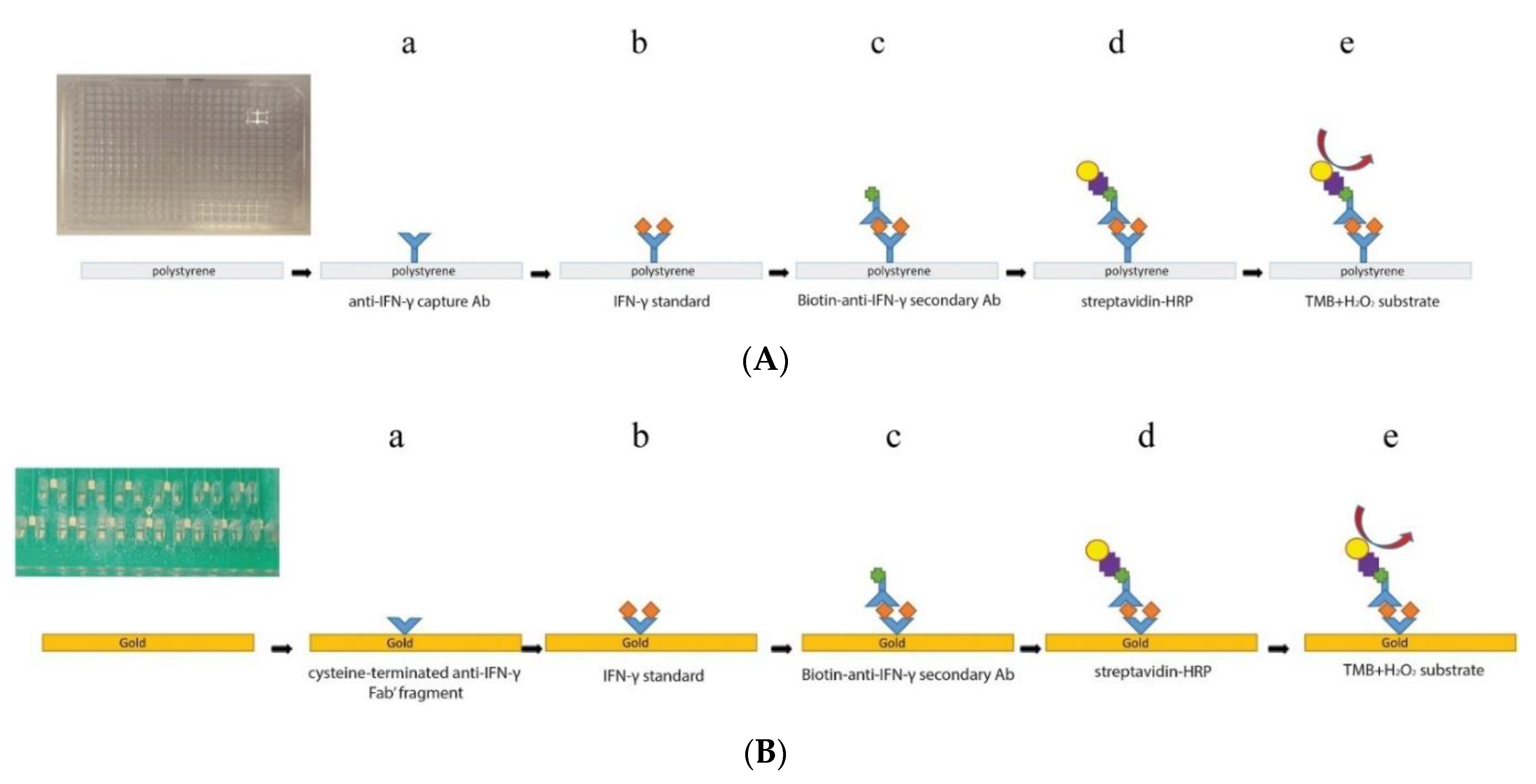 Biosensors 11 00094 g007 Biosensors 11 00094 g007