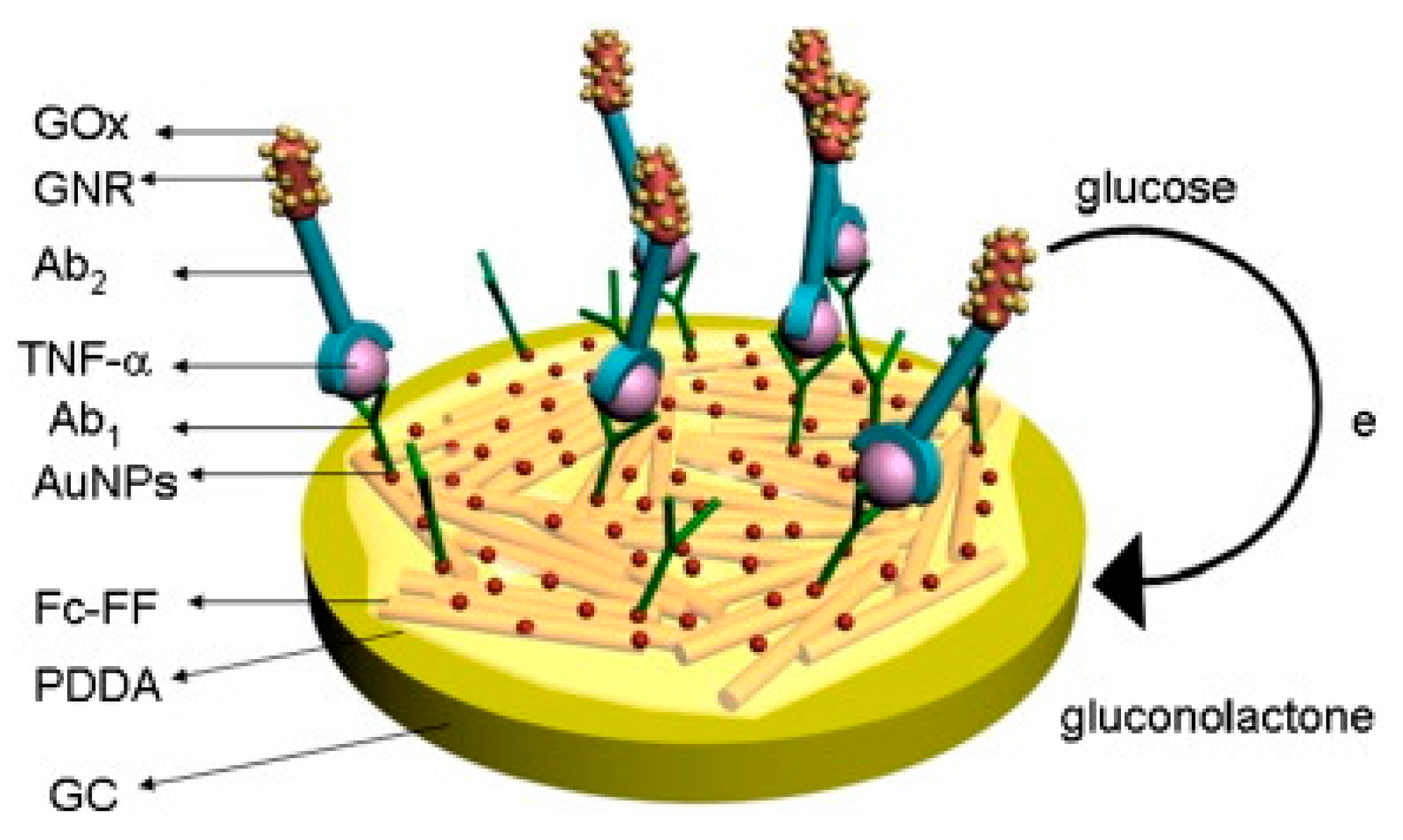 Biosensors 11 00094 g009 Biosensors 11 00094 g009