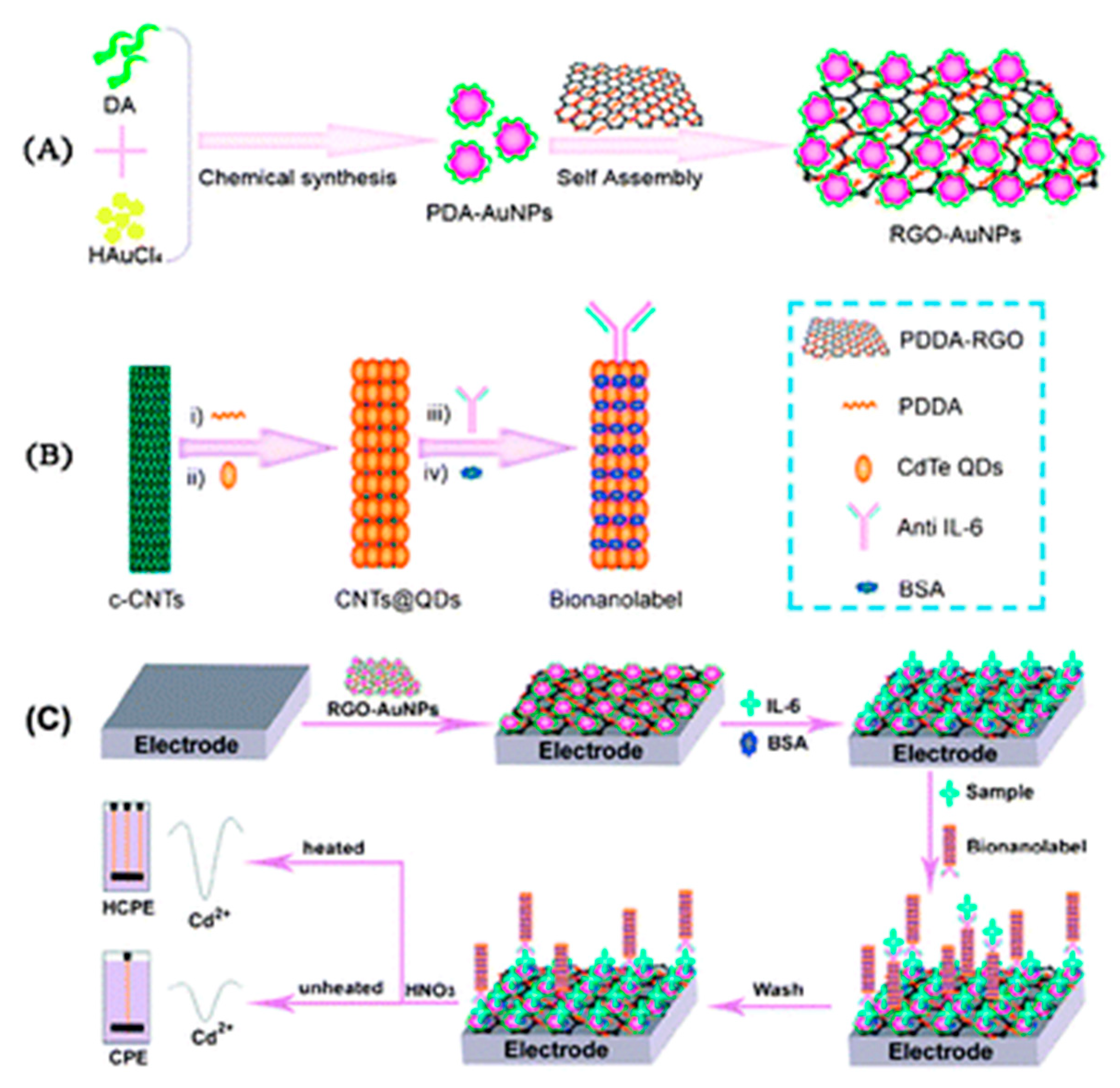 Biosensors 11 00094 g011 Biosensors 11 00094 g011