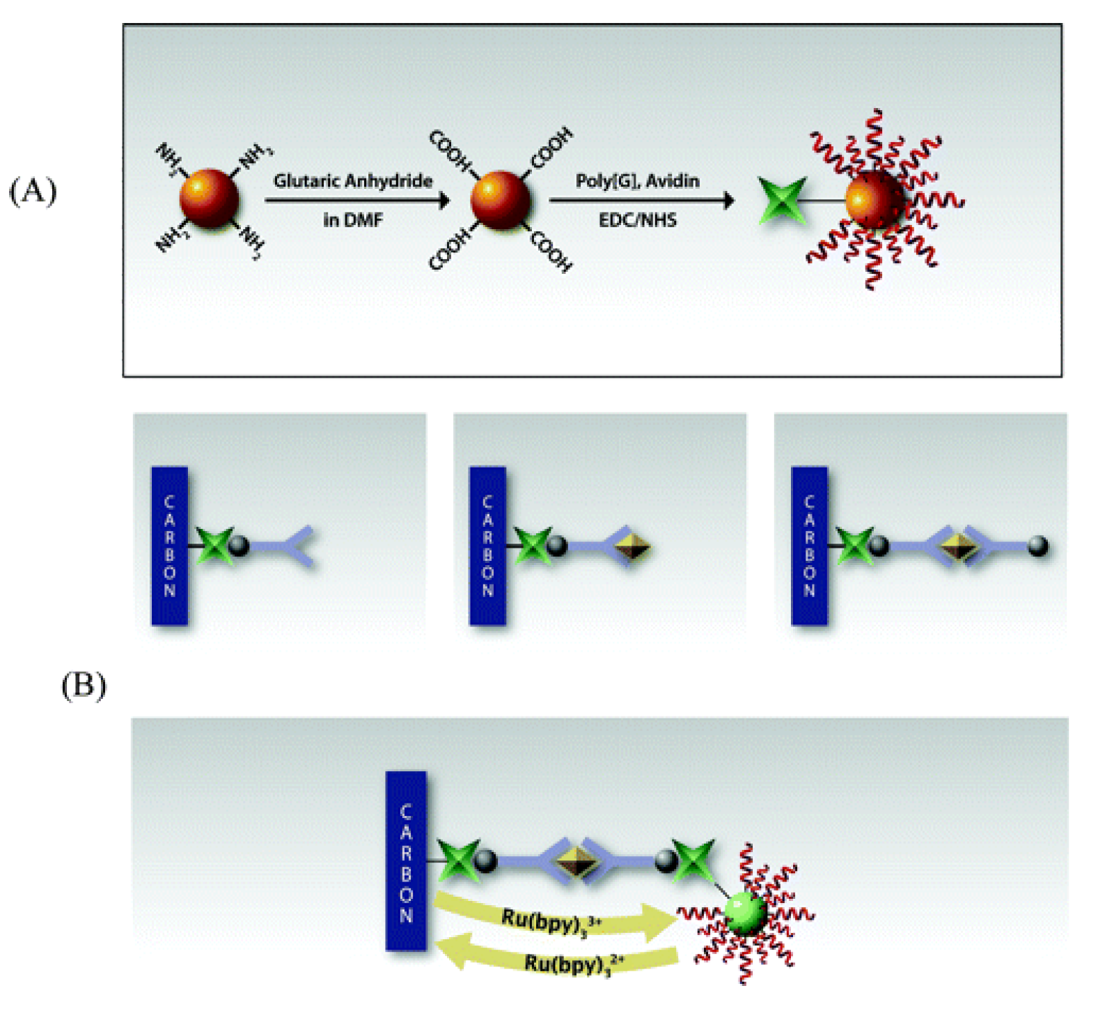 Biosensors 11 00094 g012 Biosensors 11 00094 g012