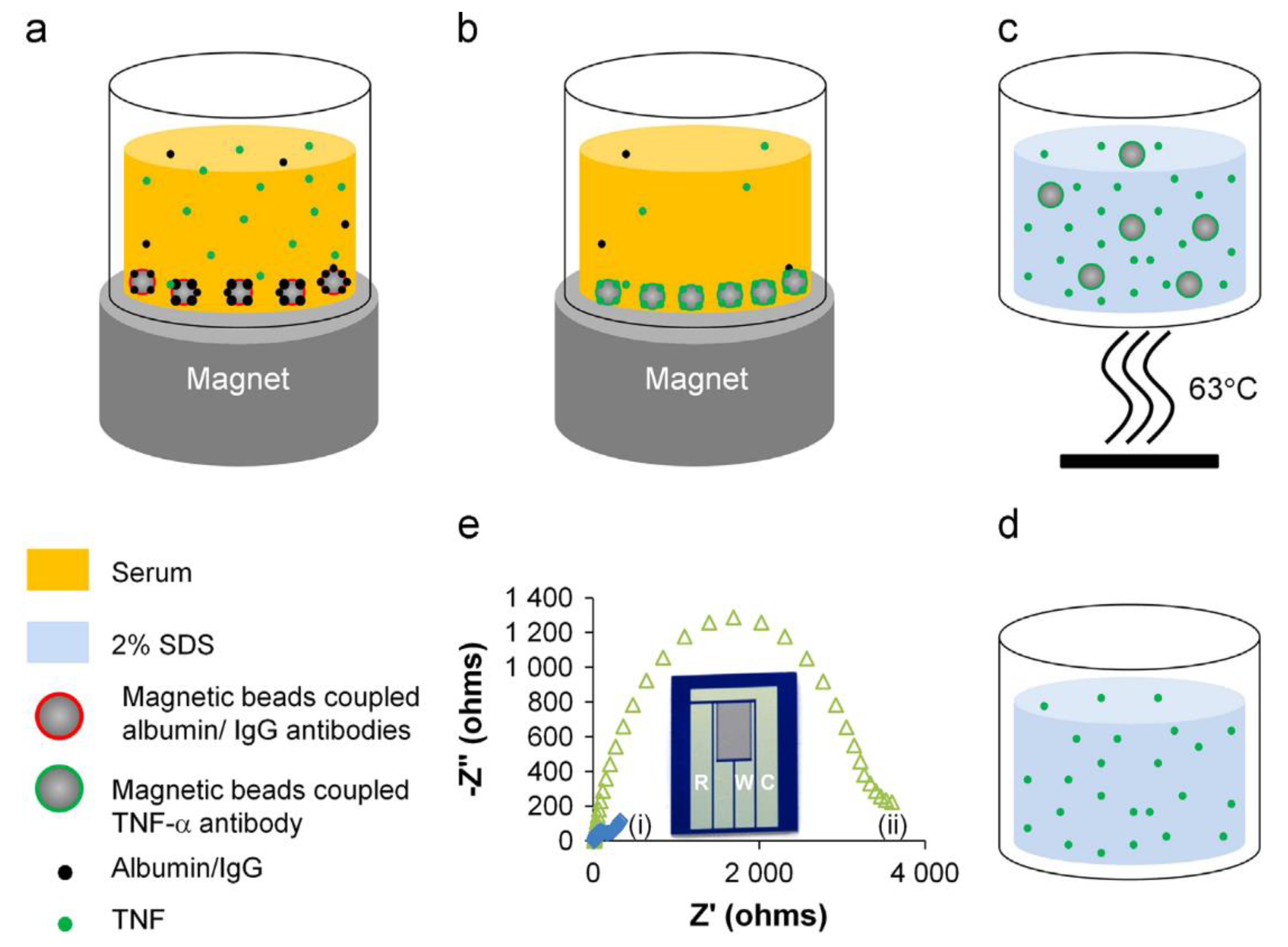 Biosensors 11 00094 g013 Biosensors 11 00094 g013