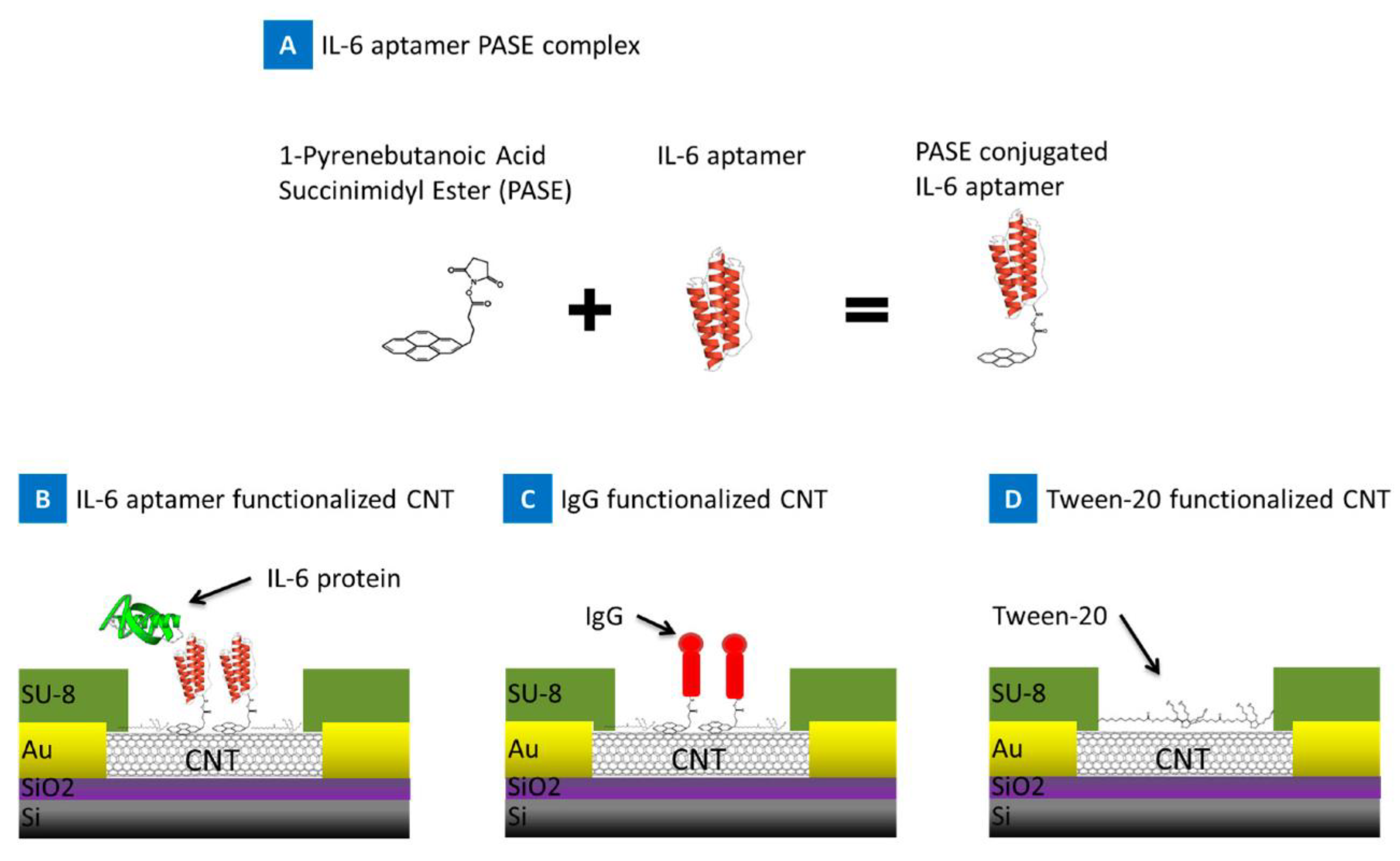 Biosensors 11 00094 g015 Biosensors 11 00094 g015