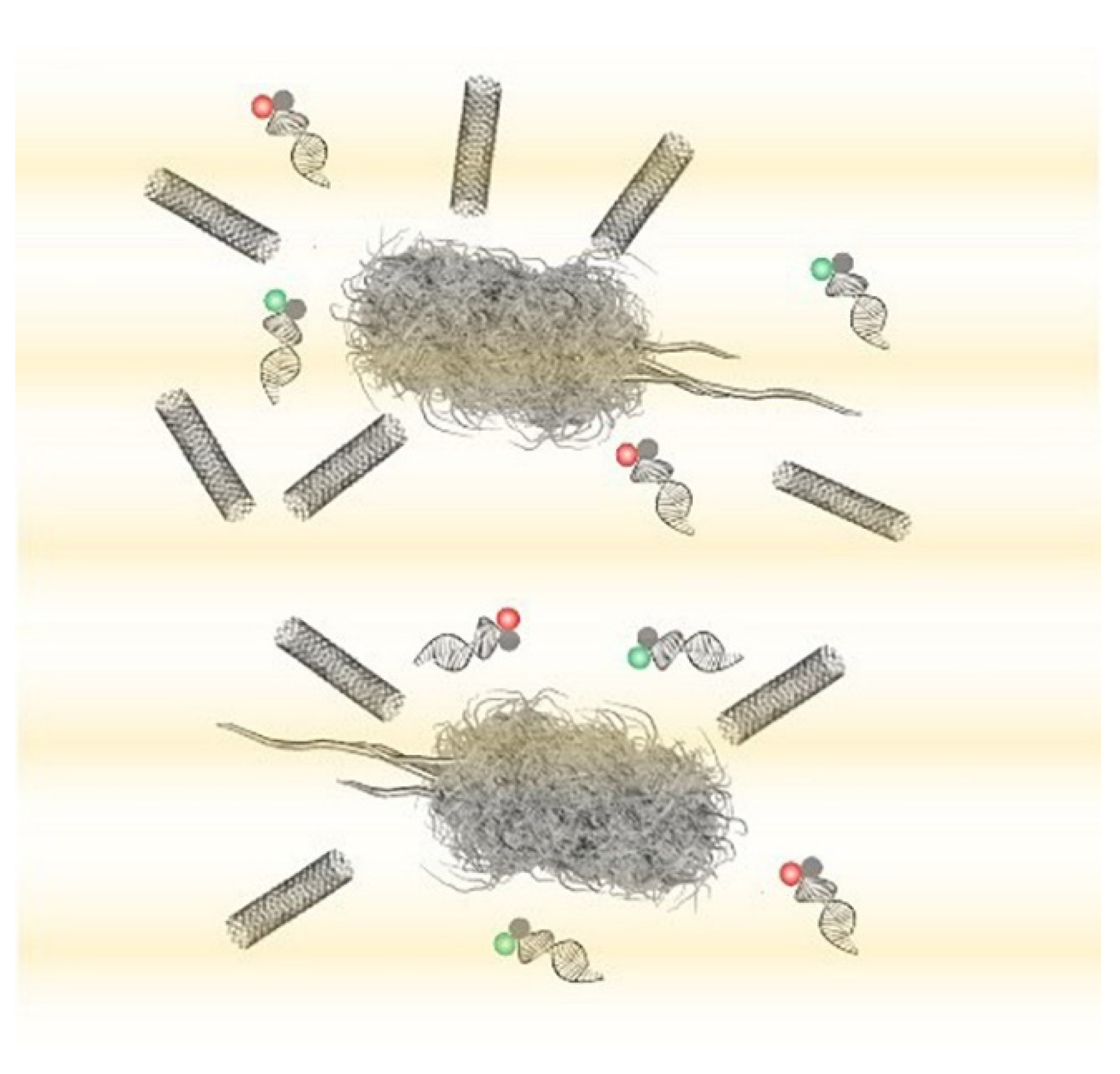 Biosensors 11 00096 g006 Biosensors 11 00096 g006