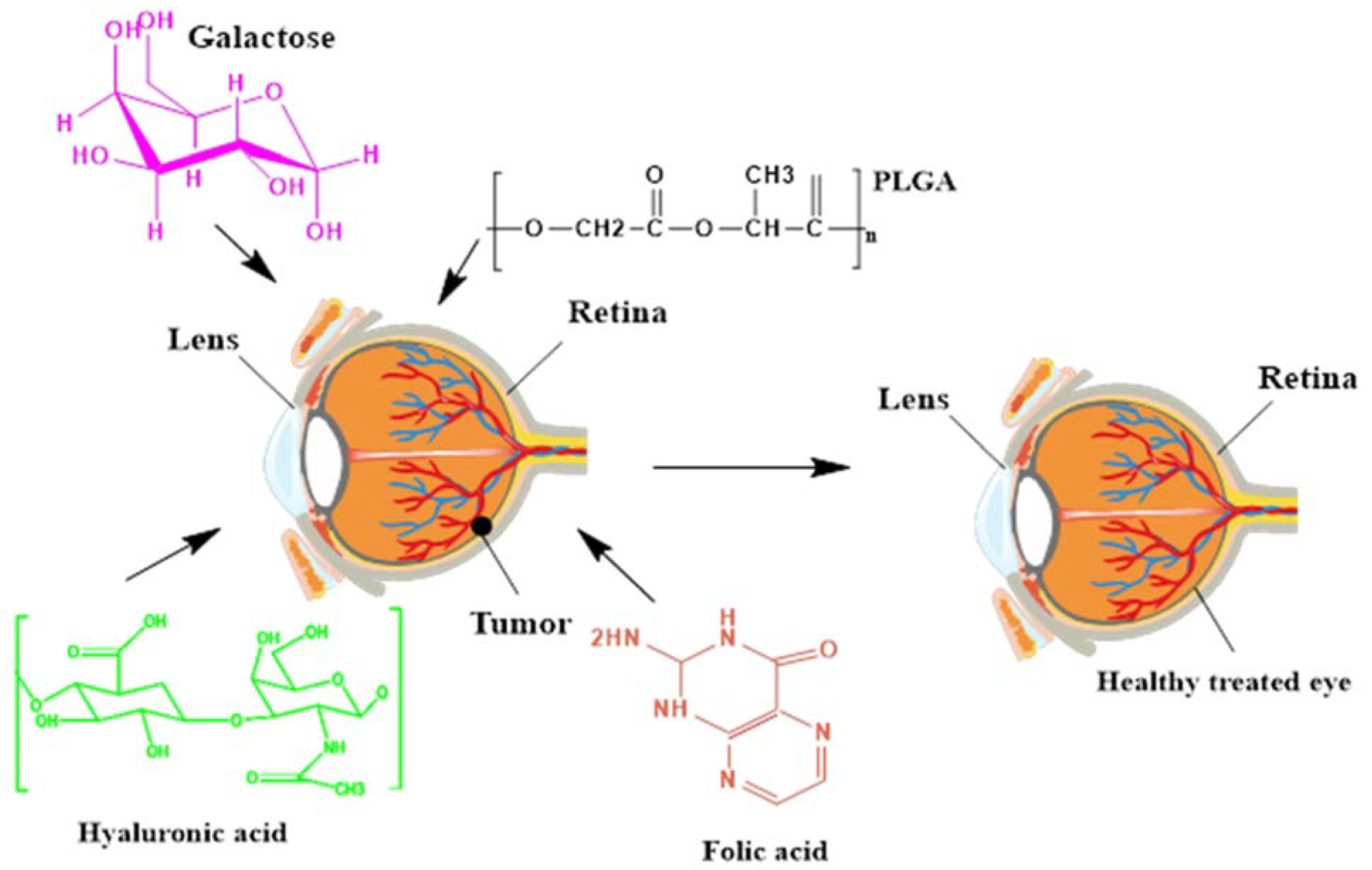 Biosensors 11 00097 g002 Biosensors 11 00097 g002