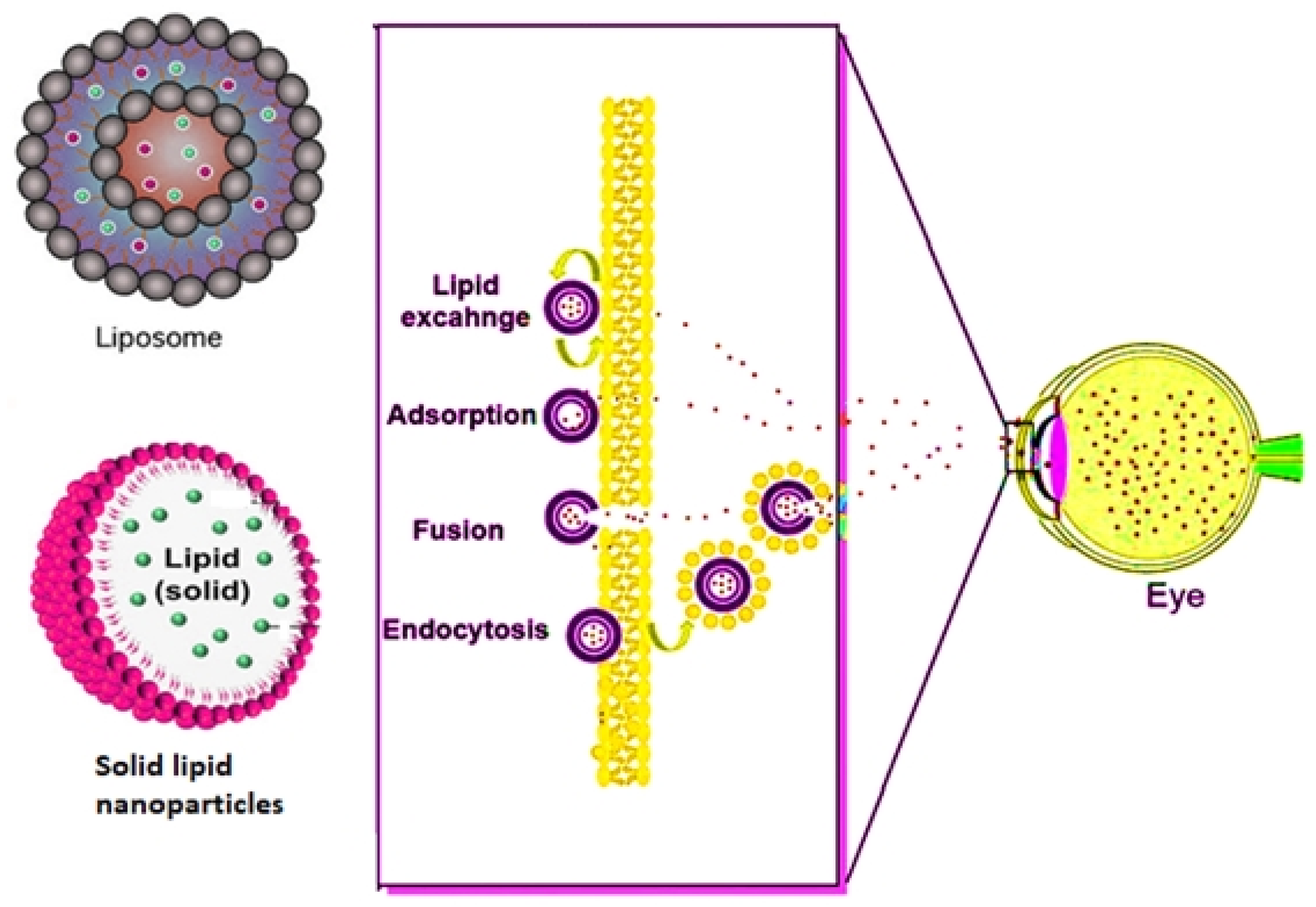 Biosensors 11 00097 g003 Biosensors 11 00097 g003