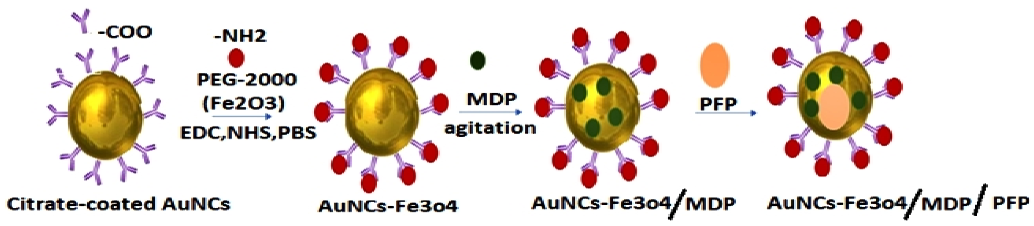 Biosensors 11 00097 g004 Biosensors 11 00097 g004