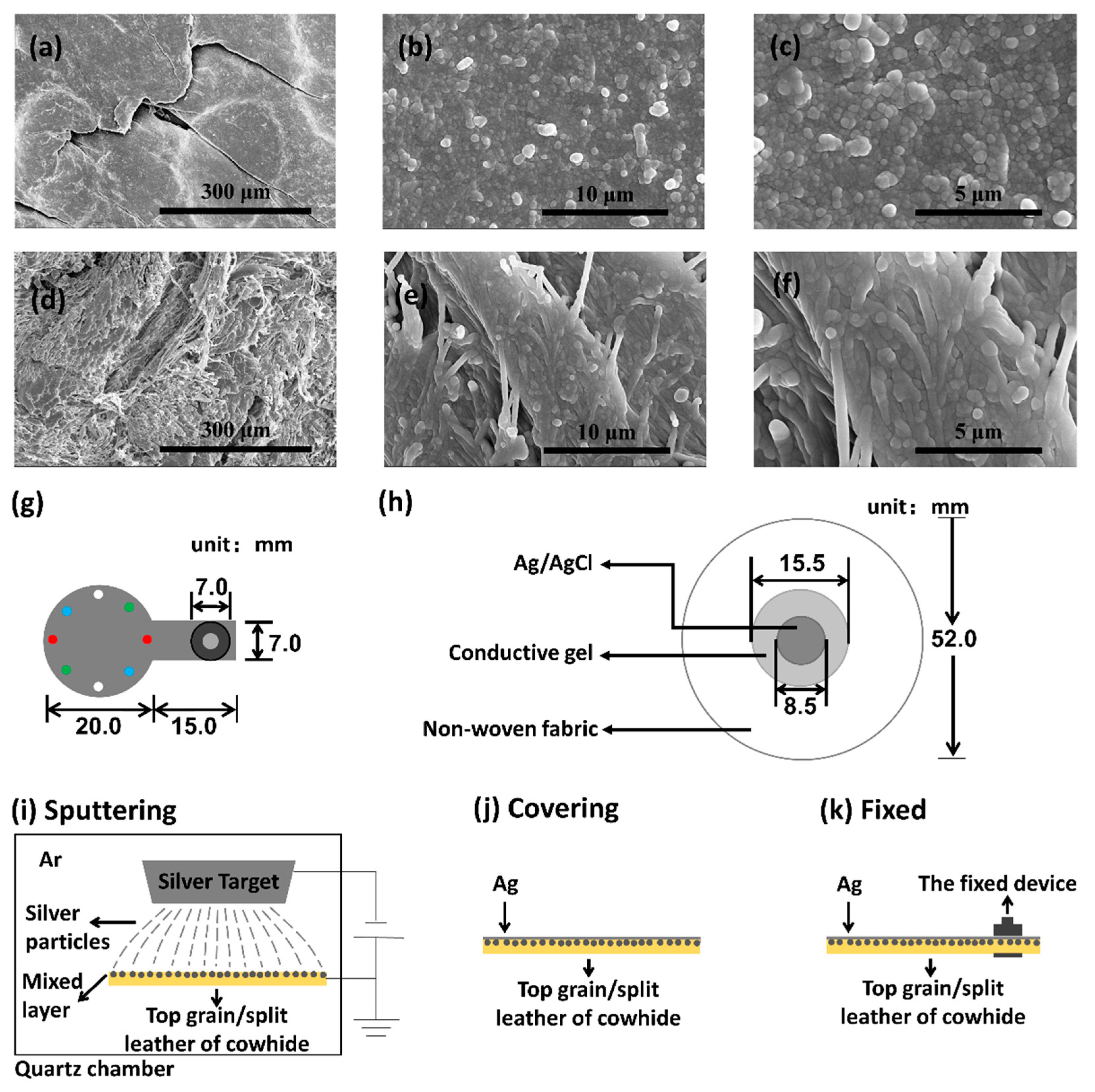 Biosensors 11 00101 g001 Biosensors 11 00101 g001