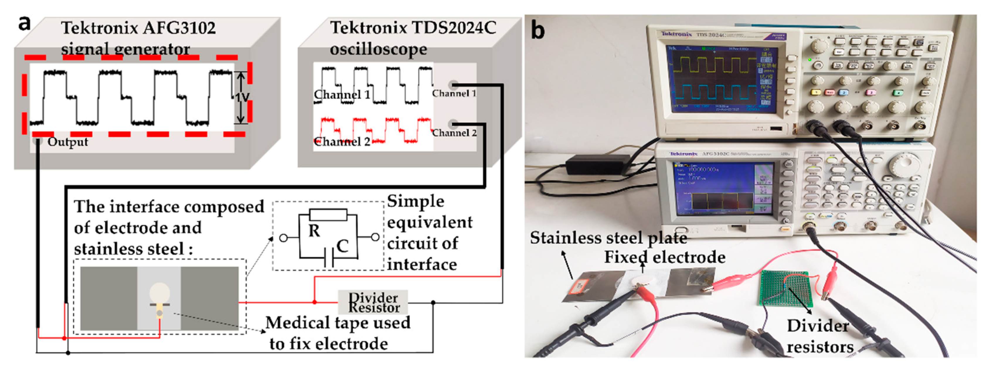 Biosensors 11 00101 g002 Biosensors 11 00101 g002
