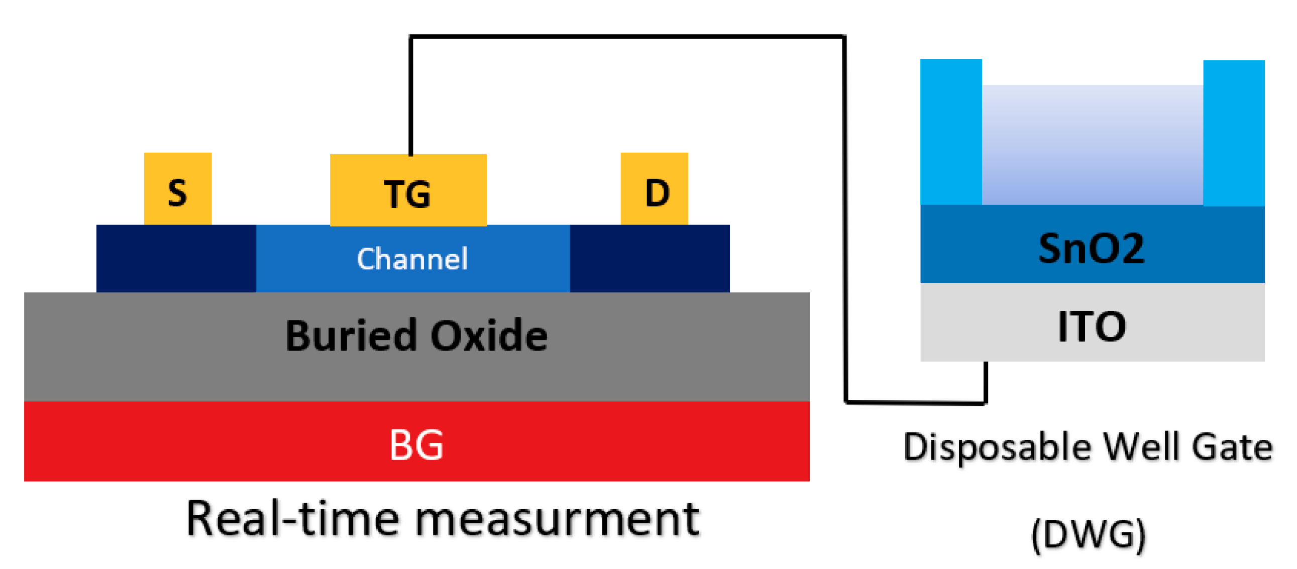 Biosensors Free Full Text Recent Advances Of Field Effect Transistor Technology For Infectious Diseases Html