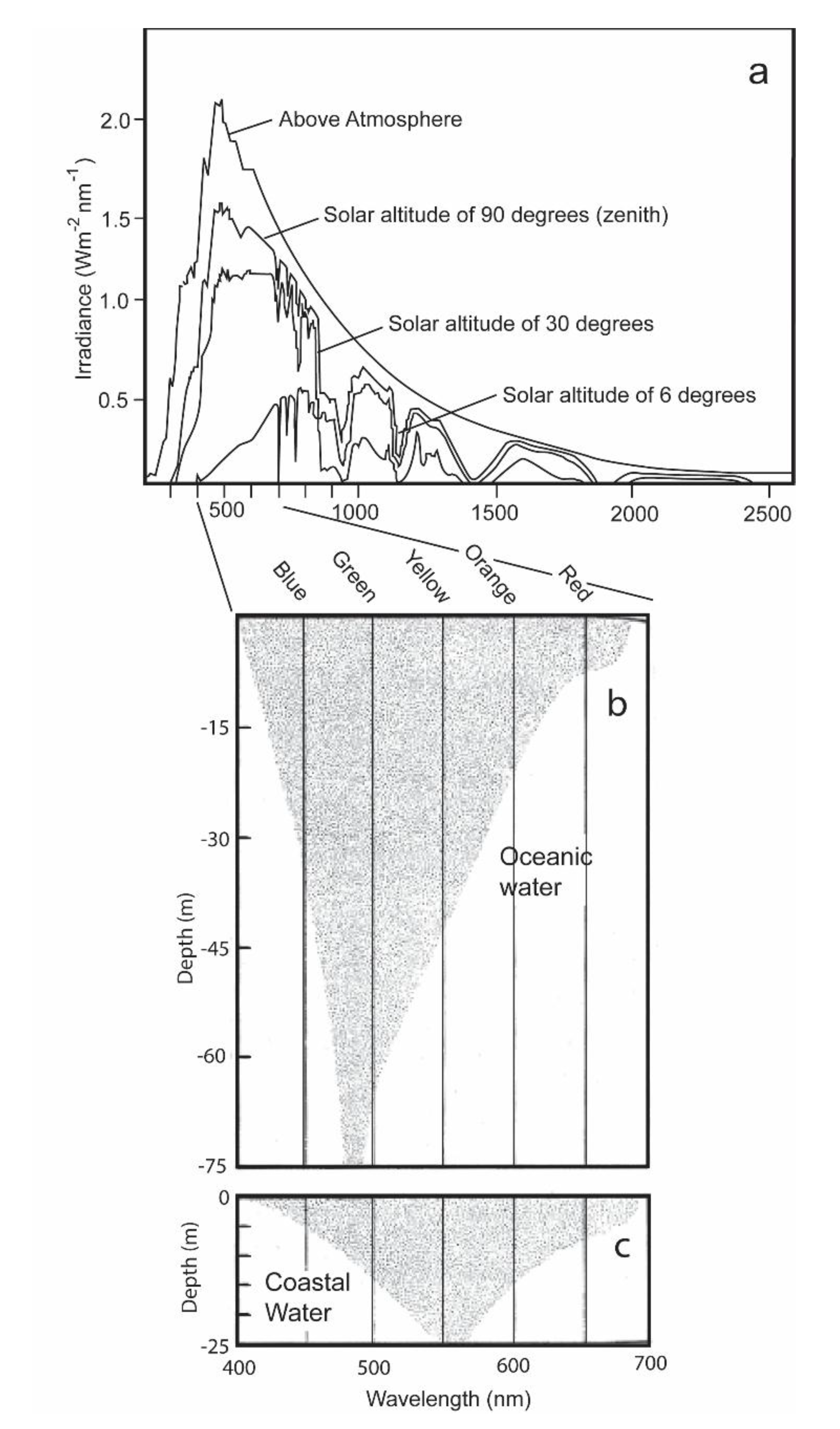 Biosensors 11 00105 g002