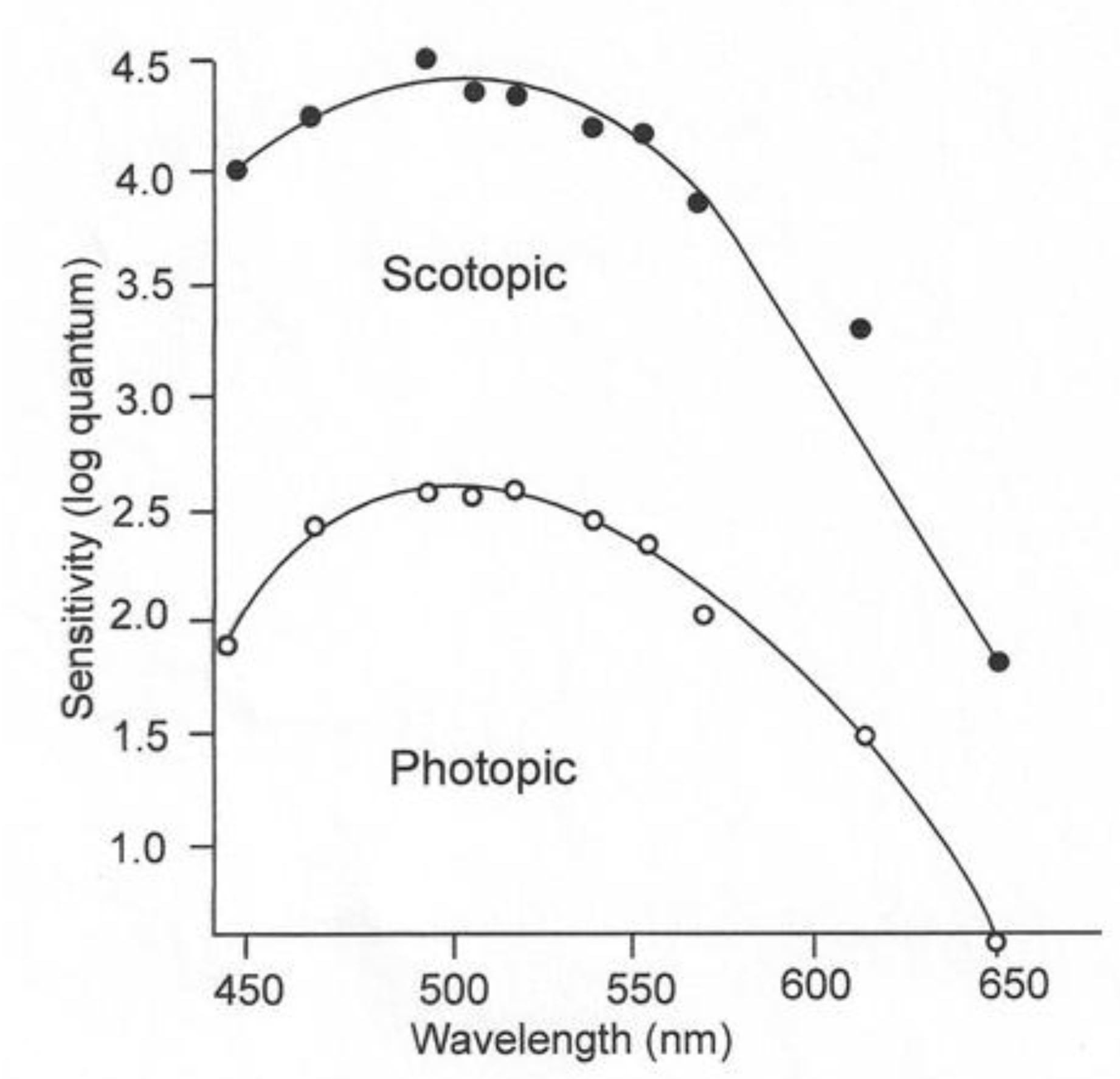 Biosensors 11 00105 g003