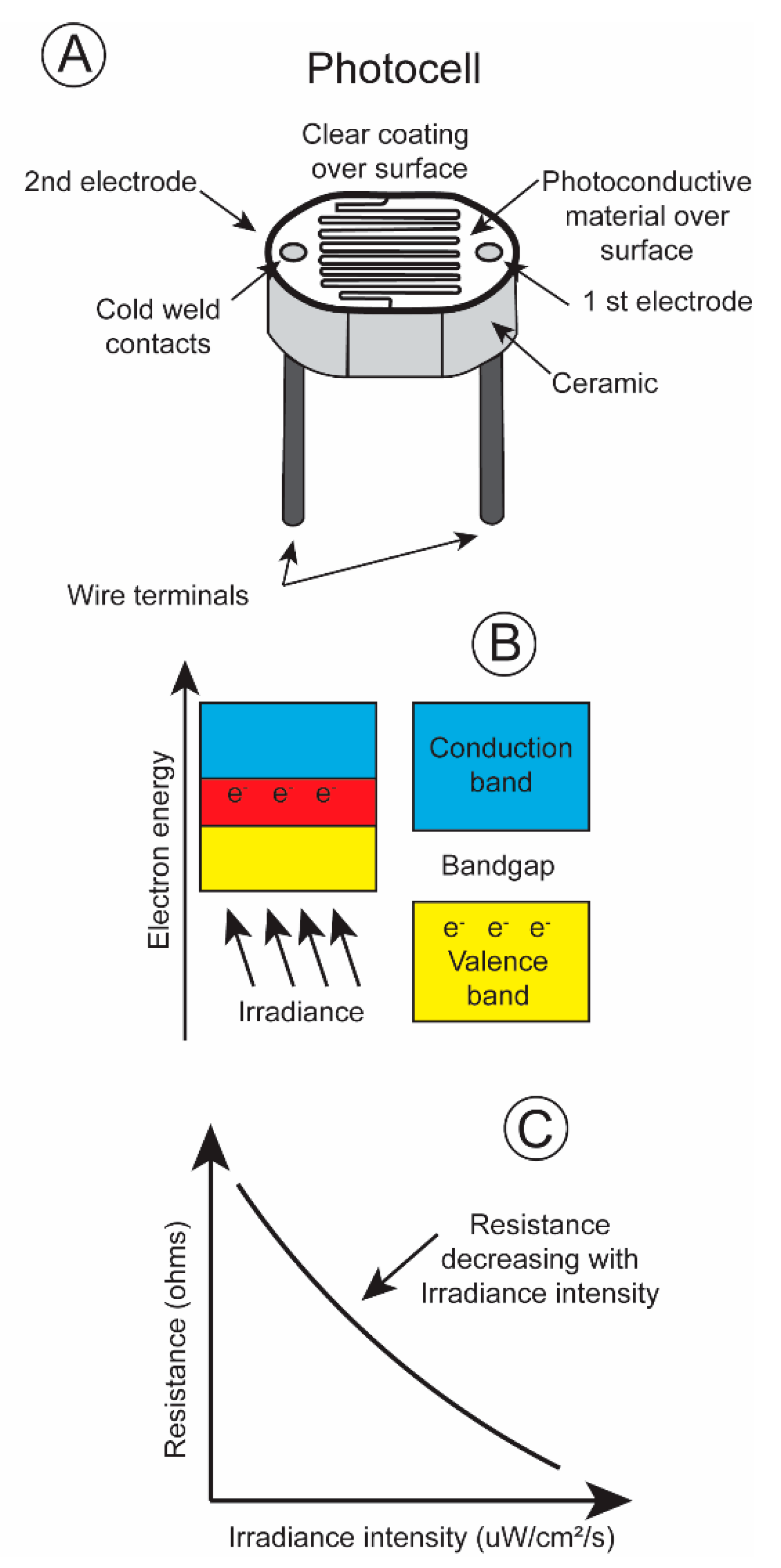Biosensors 11 00105 g004