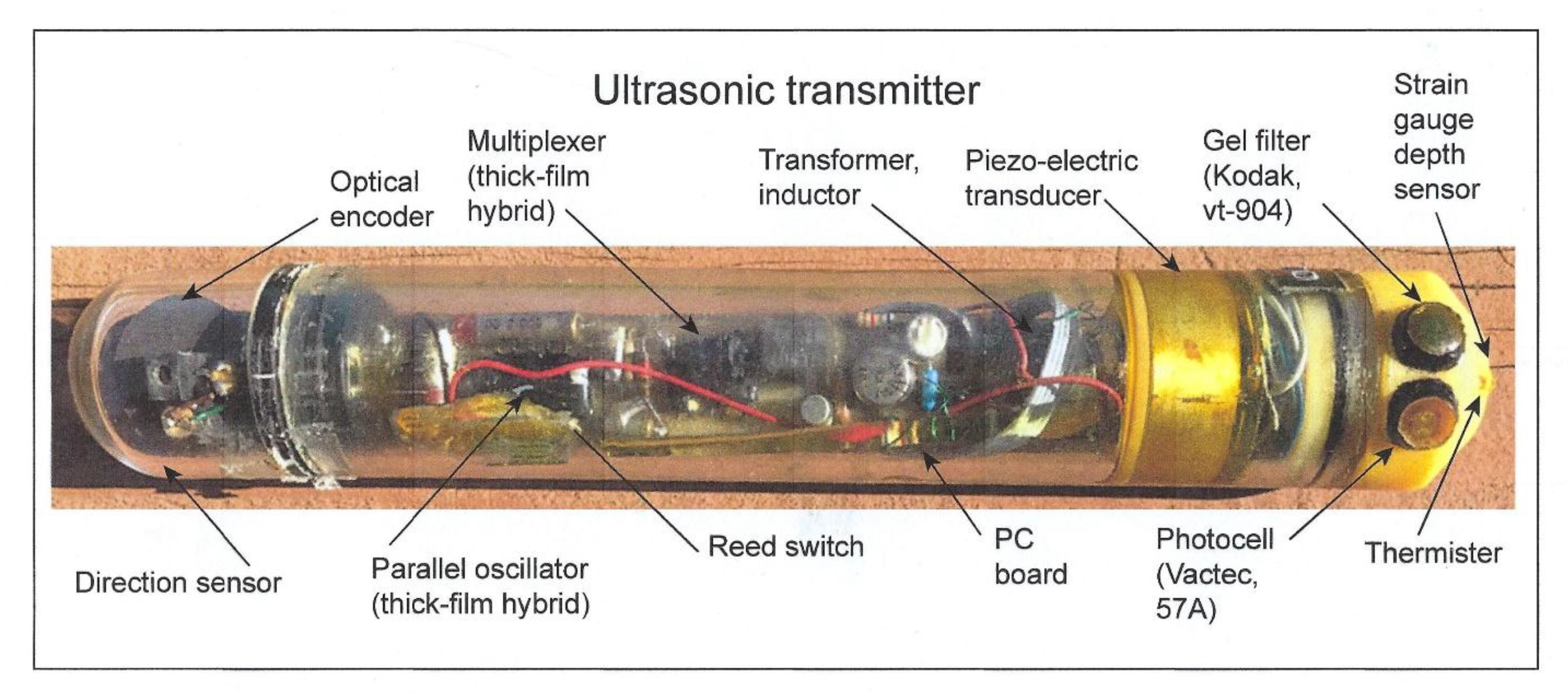 Biosensors 11 00105 g008