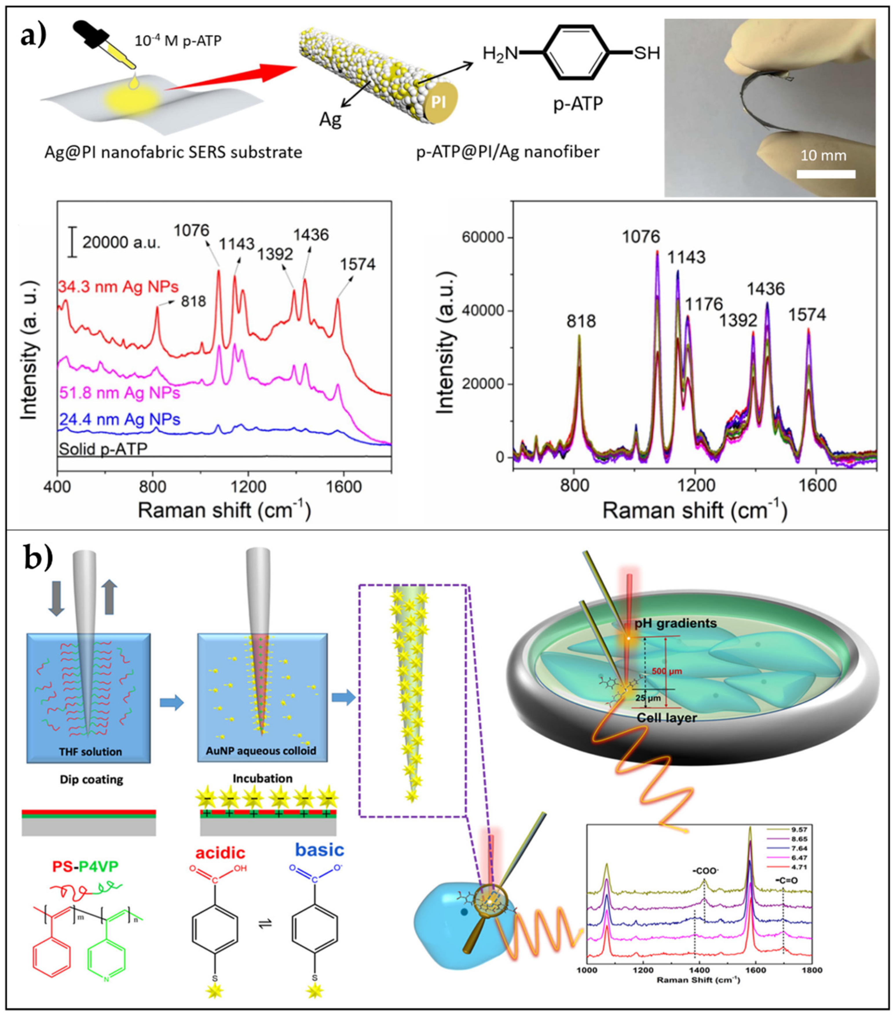 Biosensors 11 00107 g004 Biosensors 11 00107 g004