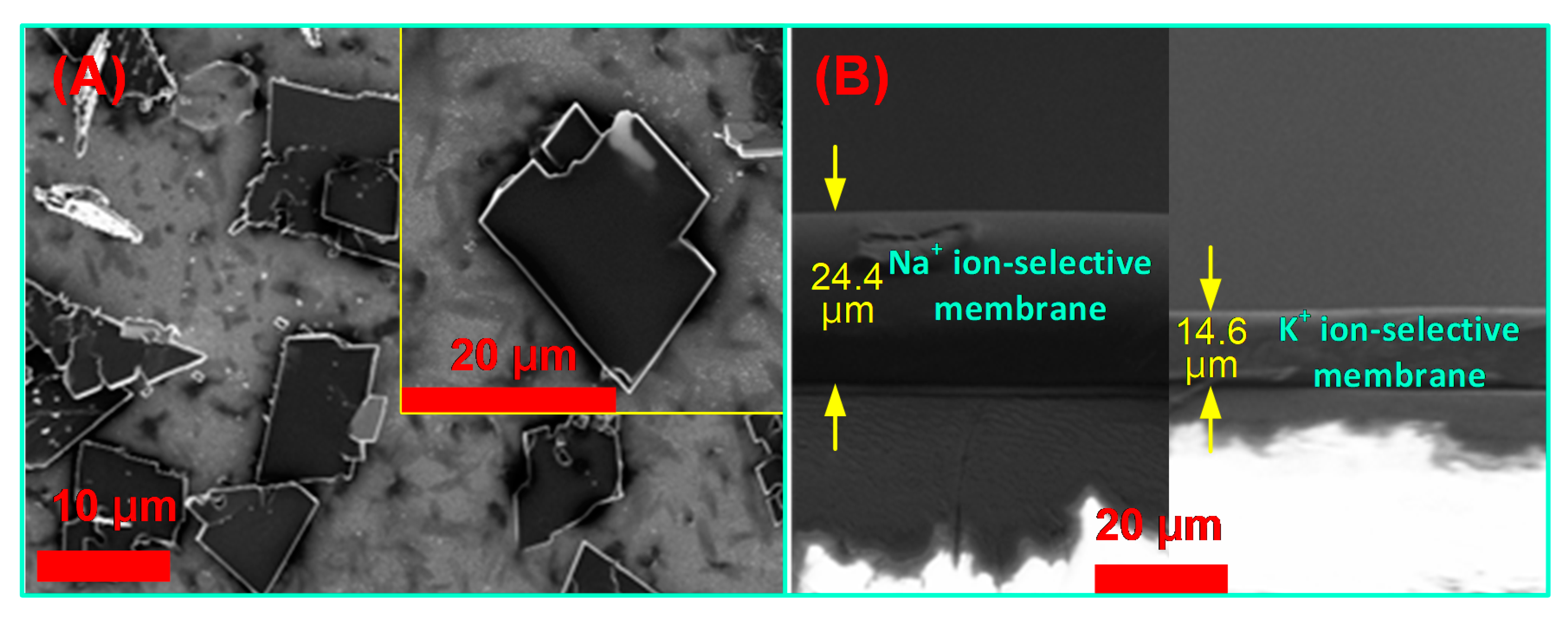 Biosensors 11 00109 g003