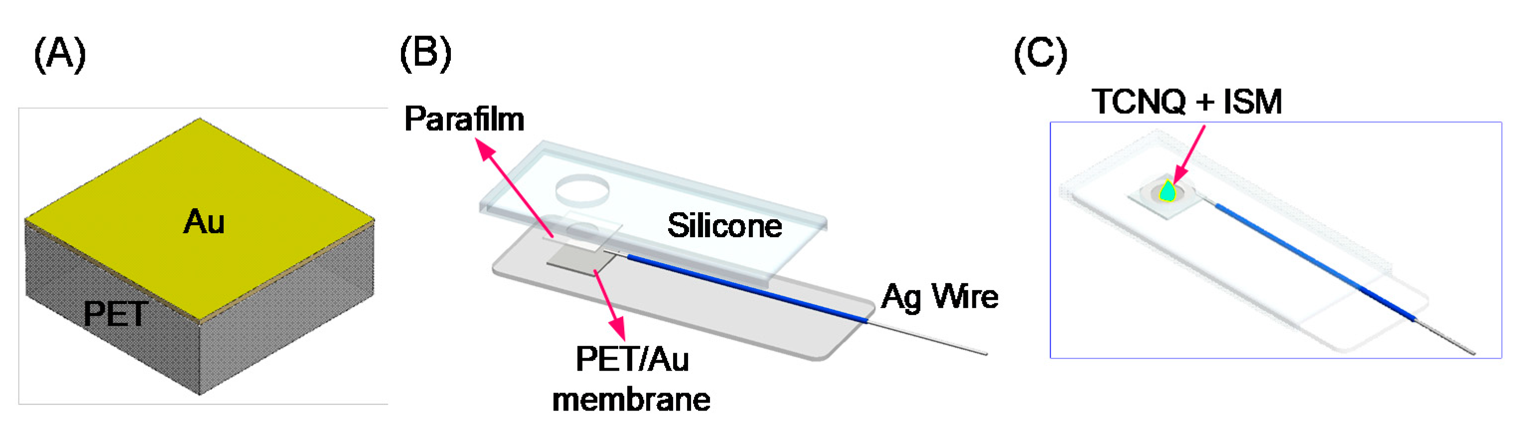Biosensors 11 00109 sch001