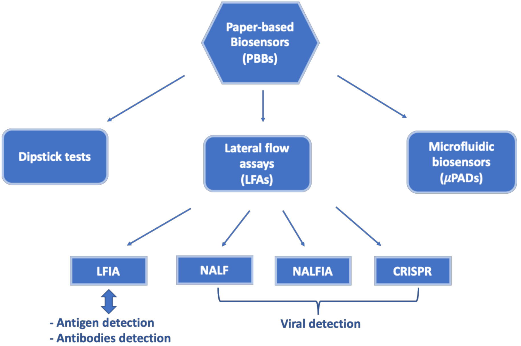 Biosensors 11 00110 g002