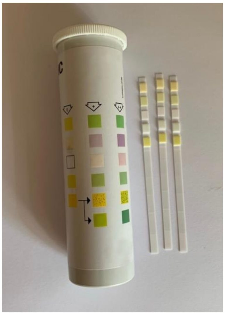 Biosensors 11 00110 g003
