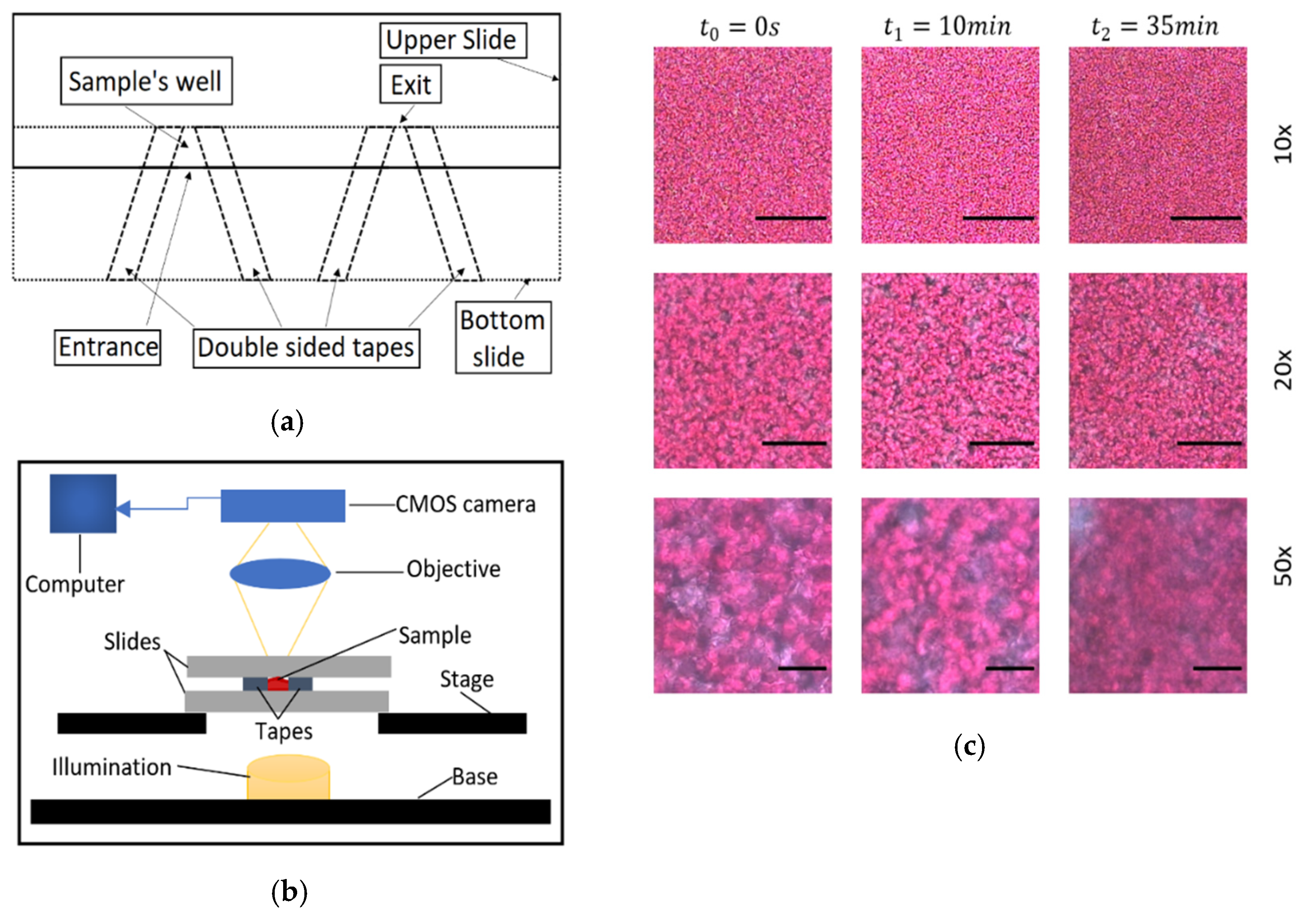 Biosensors 11 00113 g001