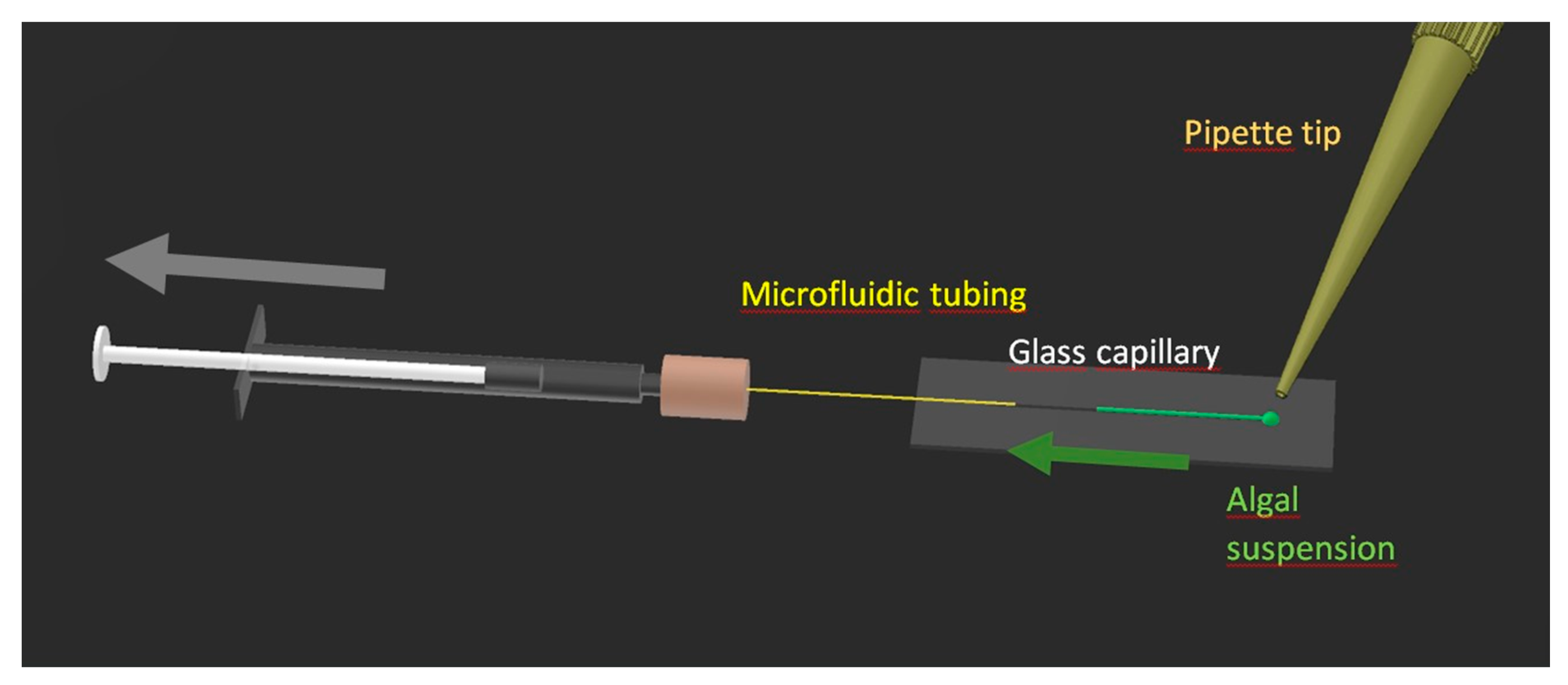 Biosensors 11 00115 g001 Biosensors 11 00115 g001