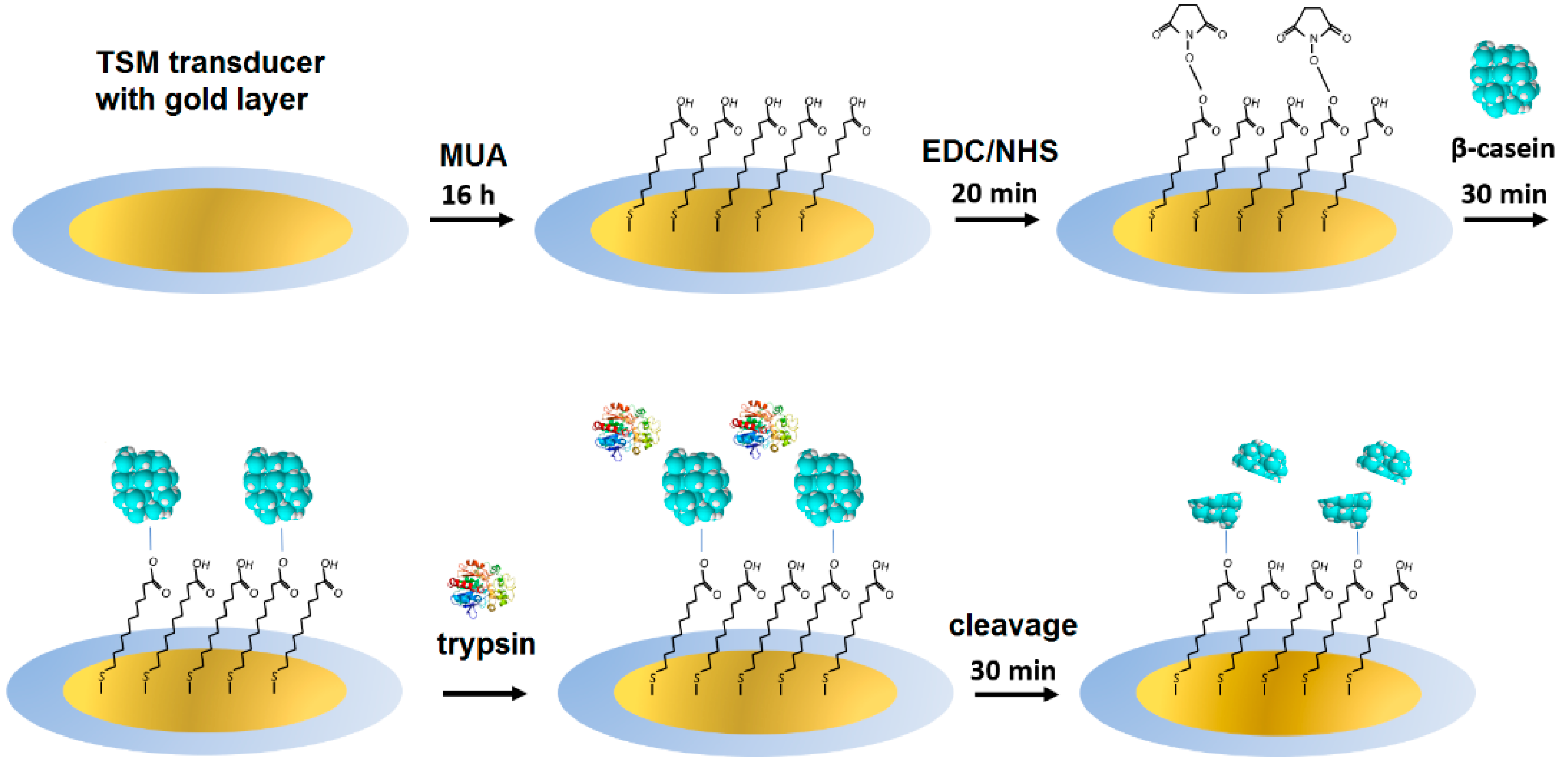 Biosensors 11 00117 g001 Biosensors 11 00117 g001