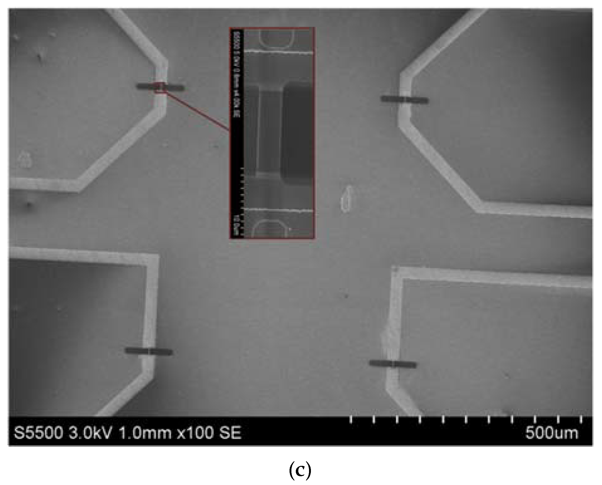 Biosensors 11 00119 g002b Biosensors 11 00119 g002b