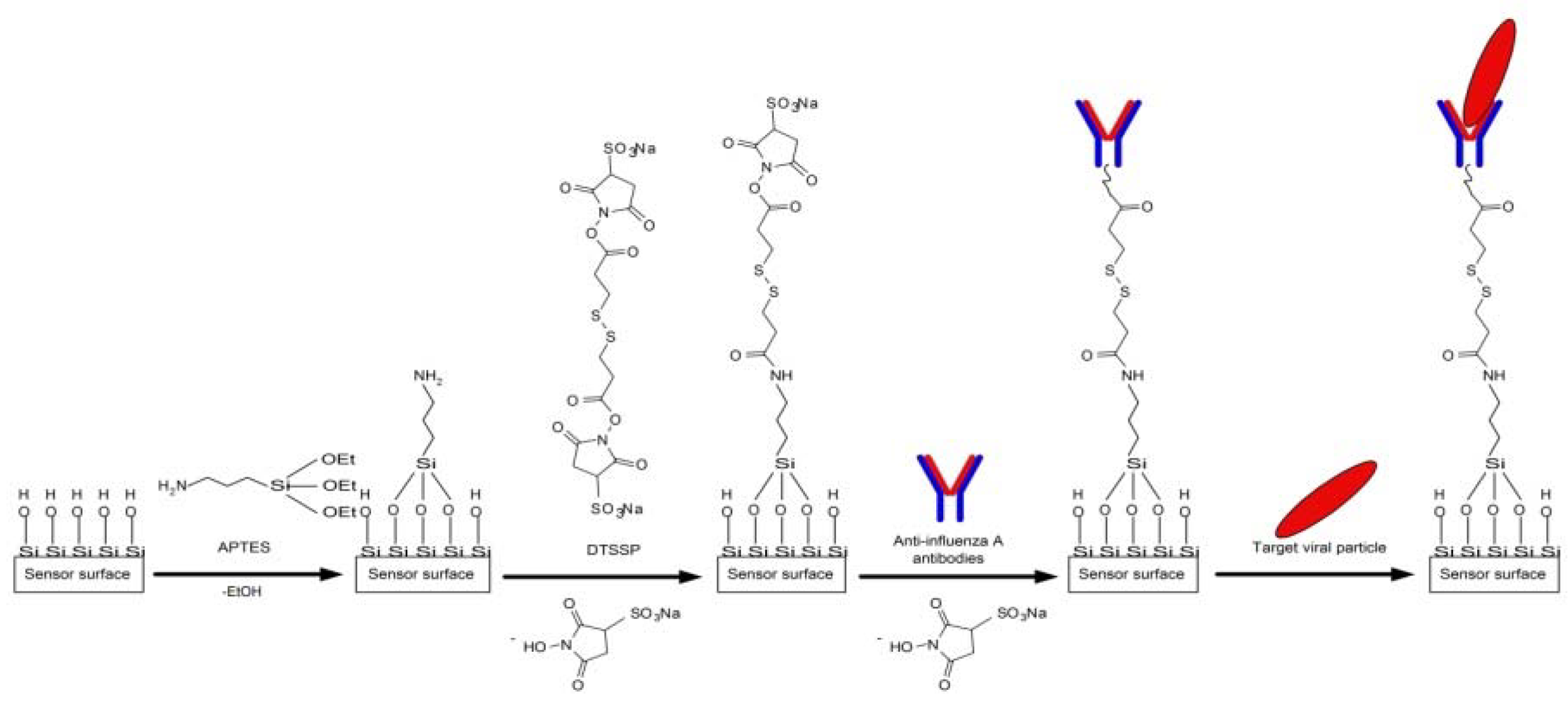 Biosensors 11 00119 g003 Biosensors 11 00119 g003