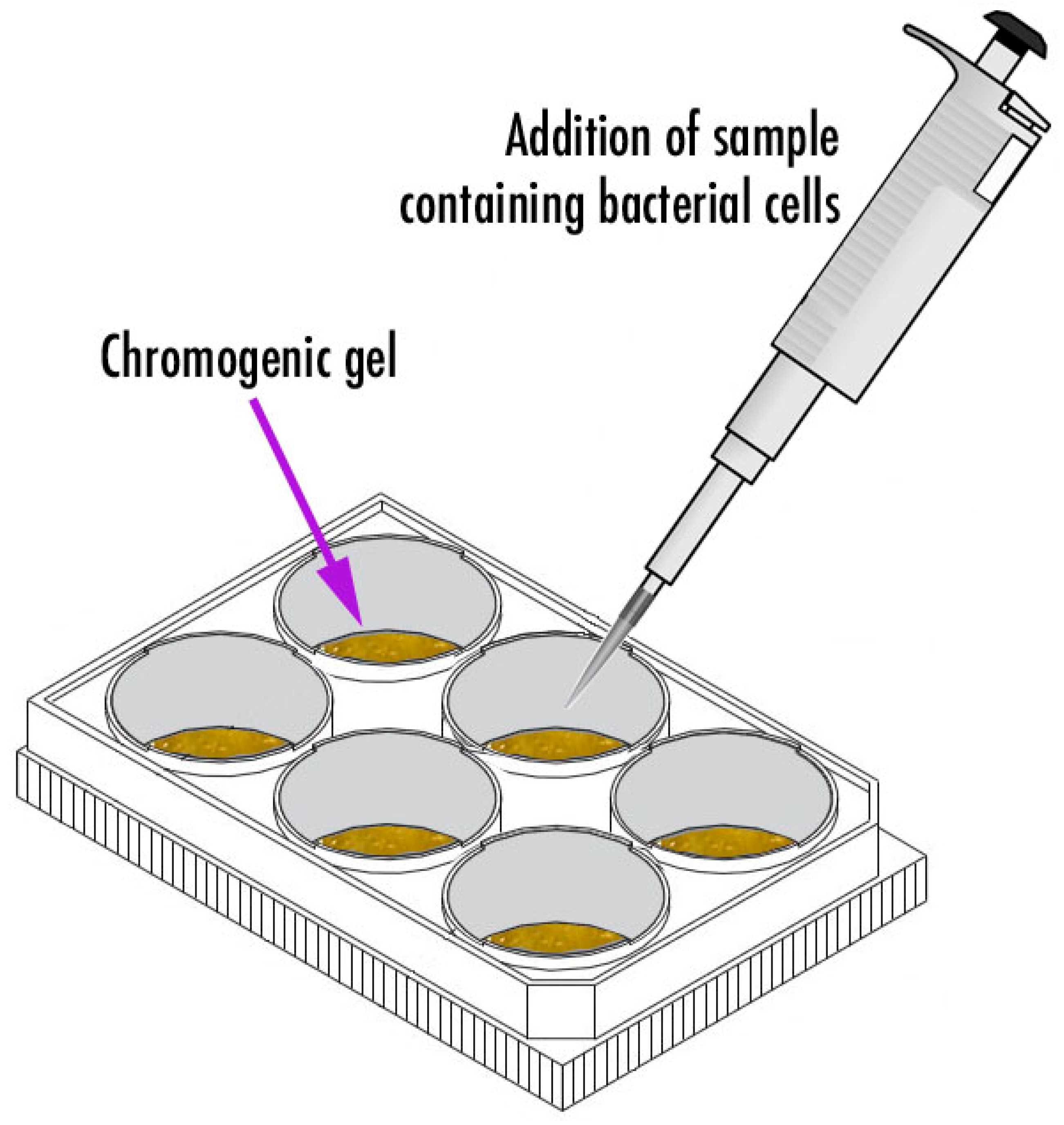 Biosensors 11 00124 g001 Biosensors 11 00124 g001