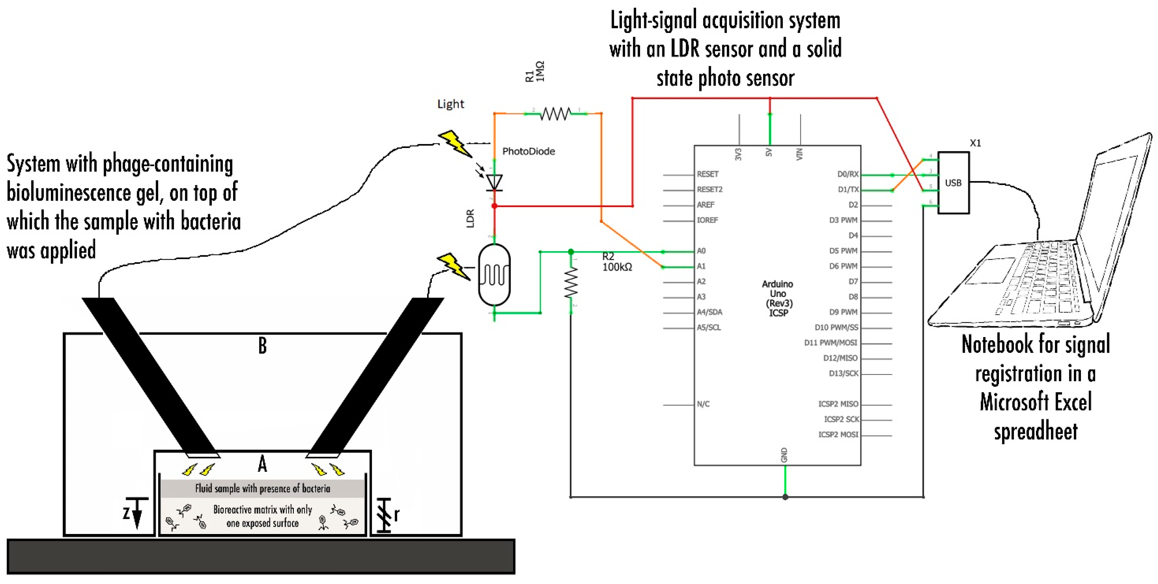 Biosensors 11 00124 g002 Biosensors 11 00124 g002