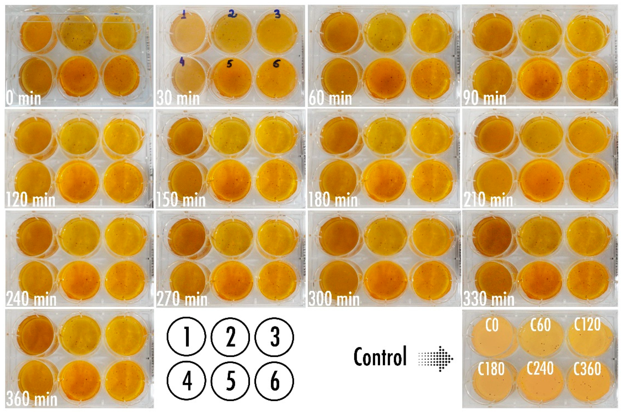 Biosensors 11 00124 g009 Biosensors 11 00124 g009