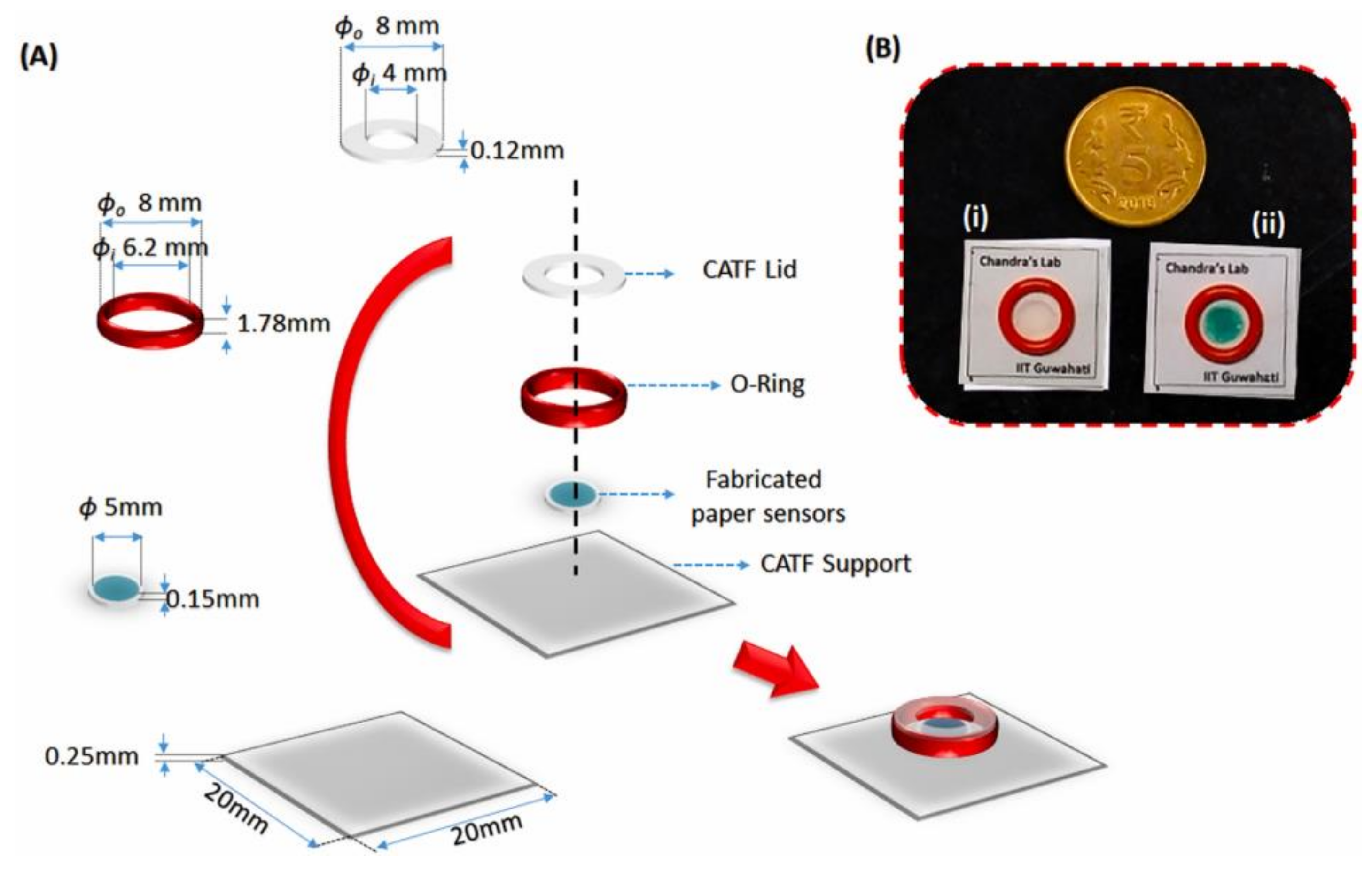 Biosensors Free Full Text Paper And Other Fibrous Materials A Complete Platform For Biosensing Applications Html Biosensors Free Full Text Paper And Other Fibrous Materials A Complete Platform For Biosensing Applications Html