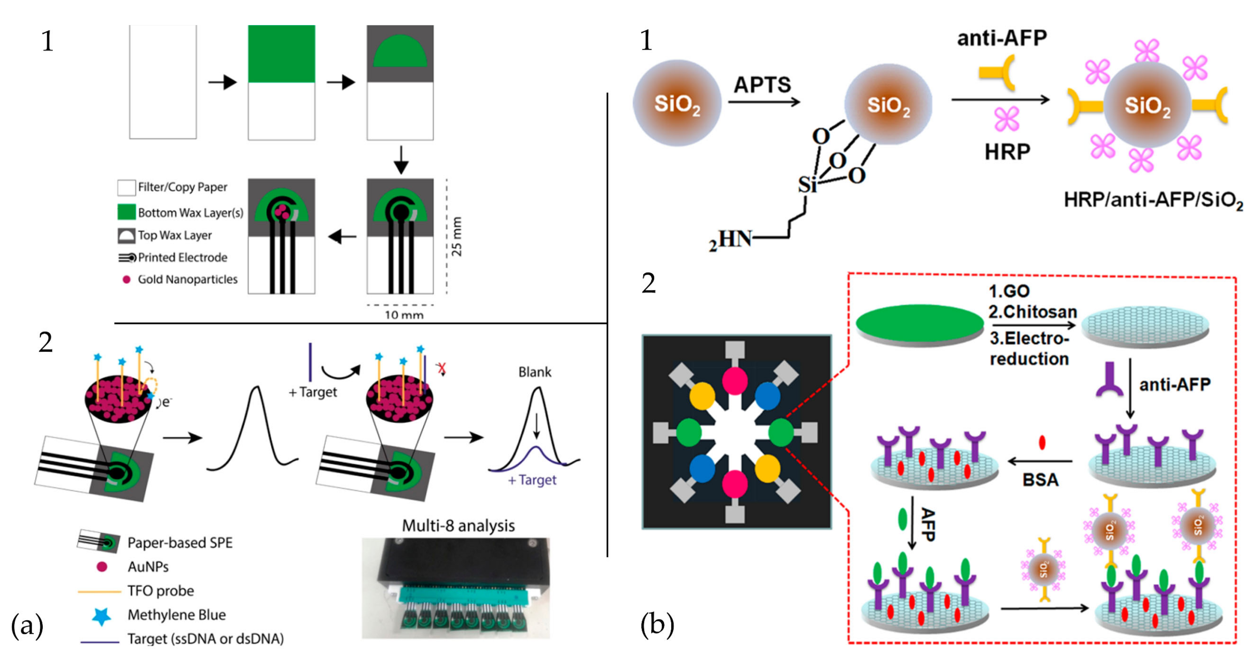 Biosensors Free Full Text Paper And Other Fibrous Materials A Plete Platform For Biosensing Applications Html