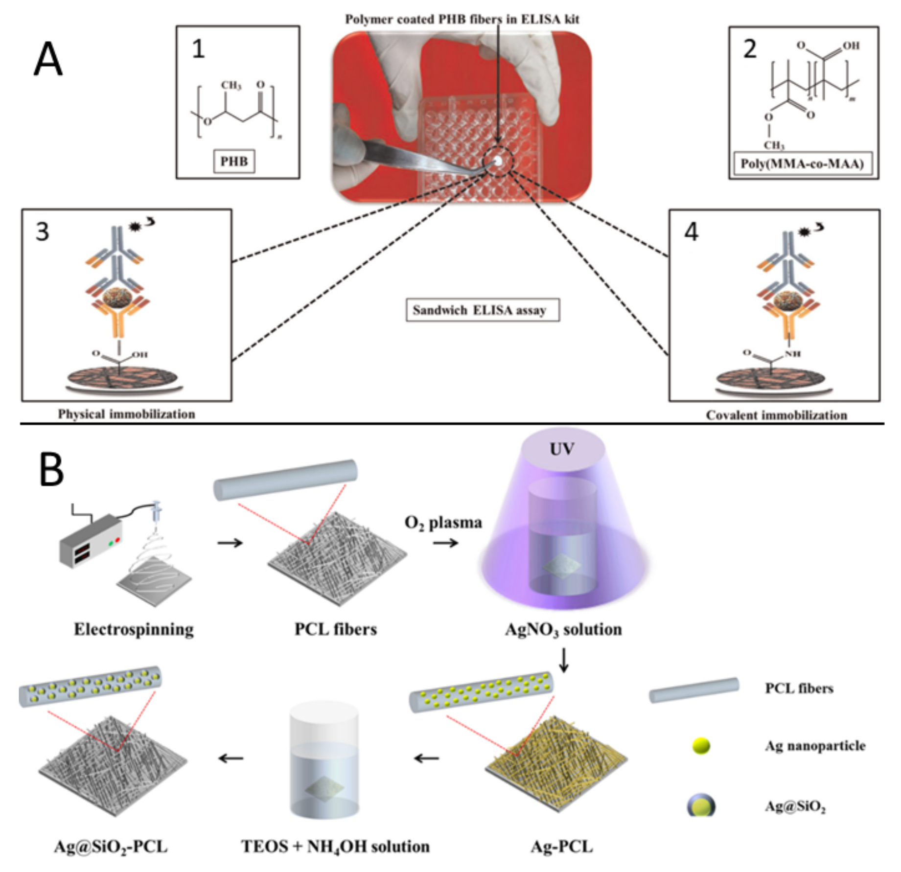 Biosensors Free Full Text Paper And Other Fibrous Materials A Complete Platform For Biosensing Applications Html Biosensors Free Full Text Paper And Other Fibrous Materials A Complete Platform For Biosensing Applications Html