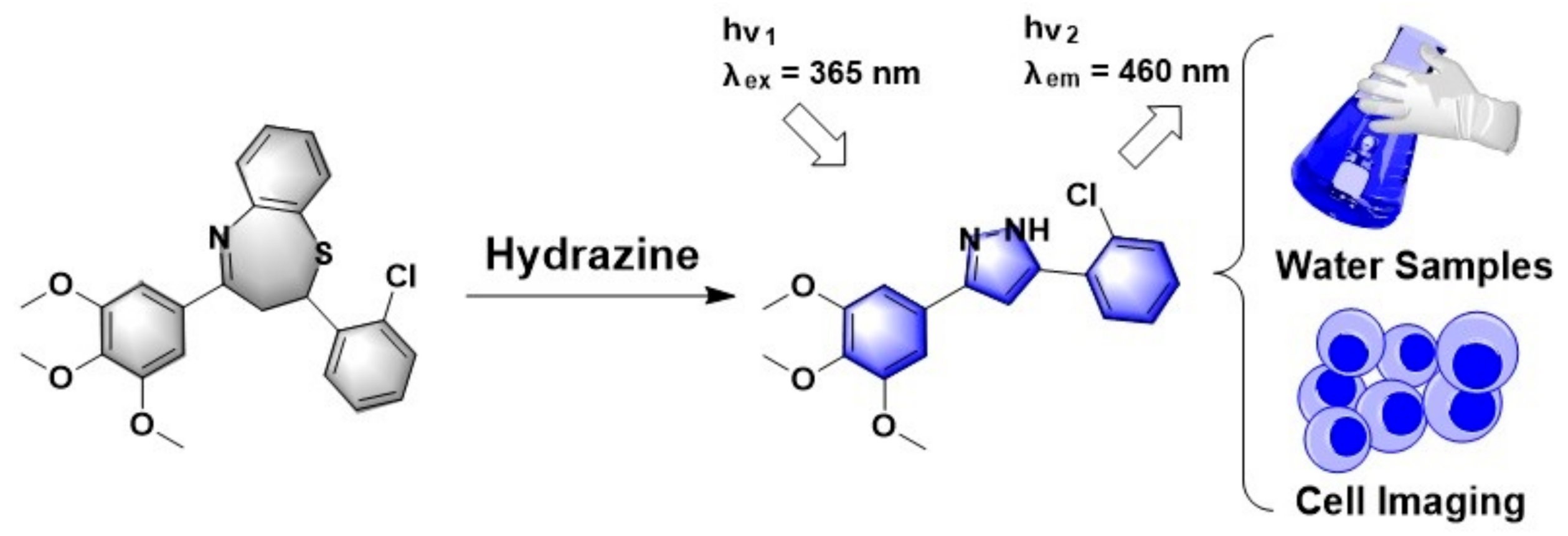 Biosensors 11 00130 g001