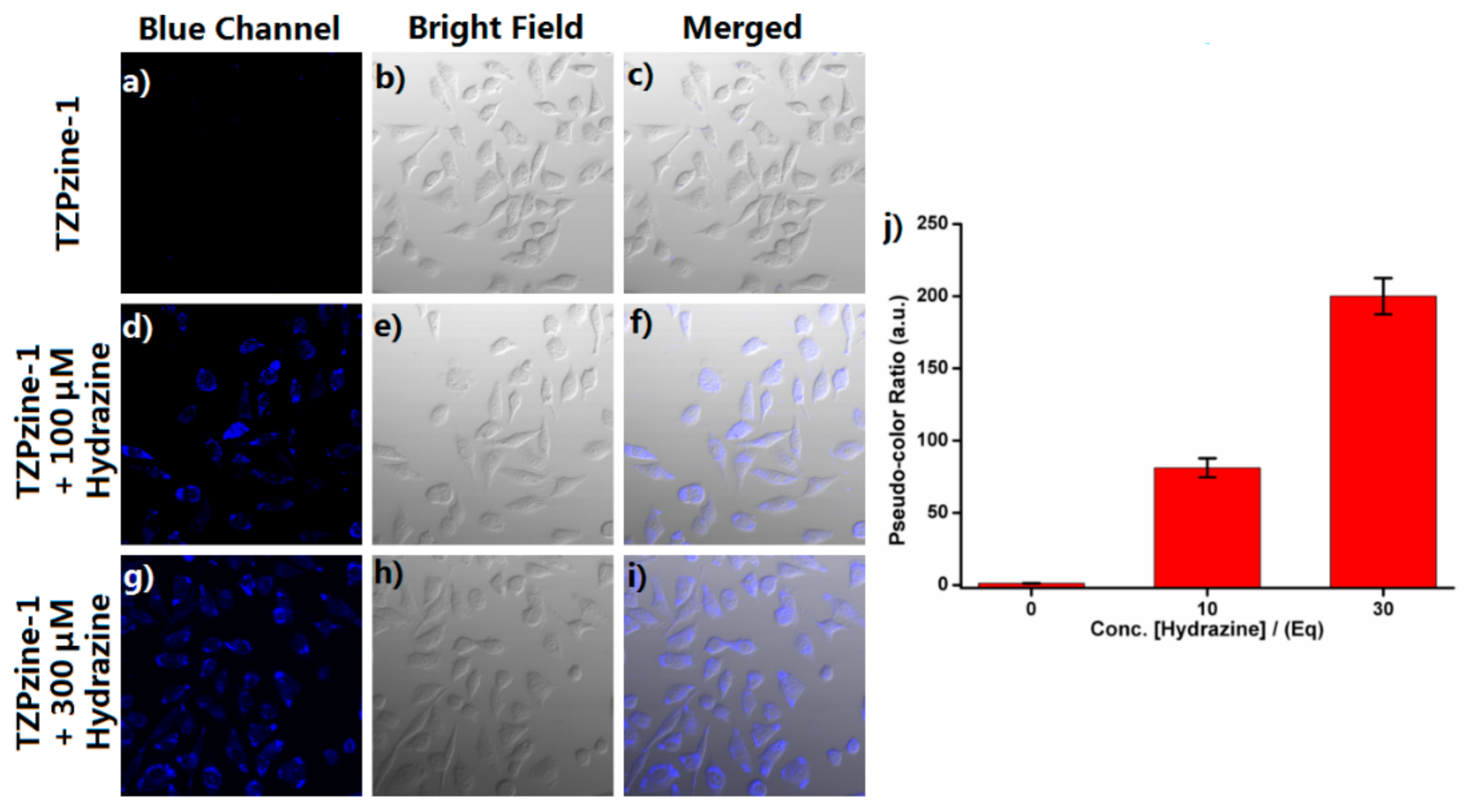 Biosensors 11 00130 g006