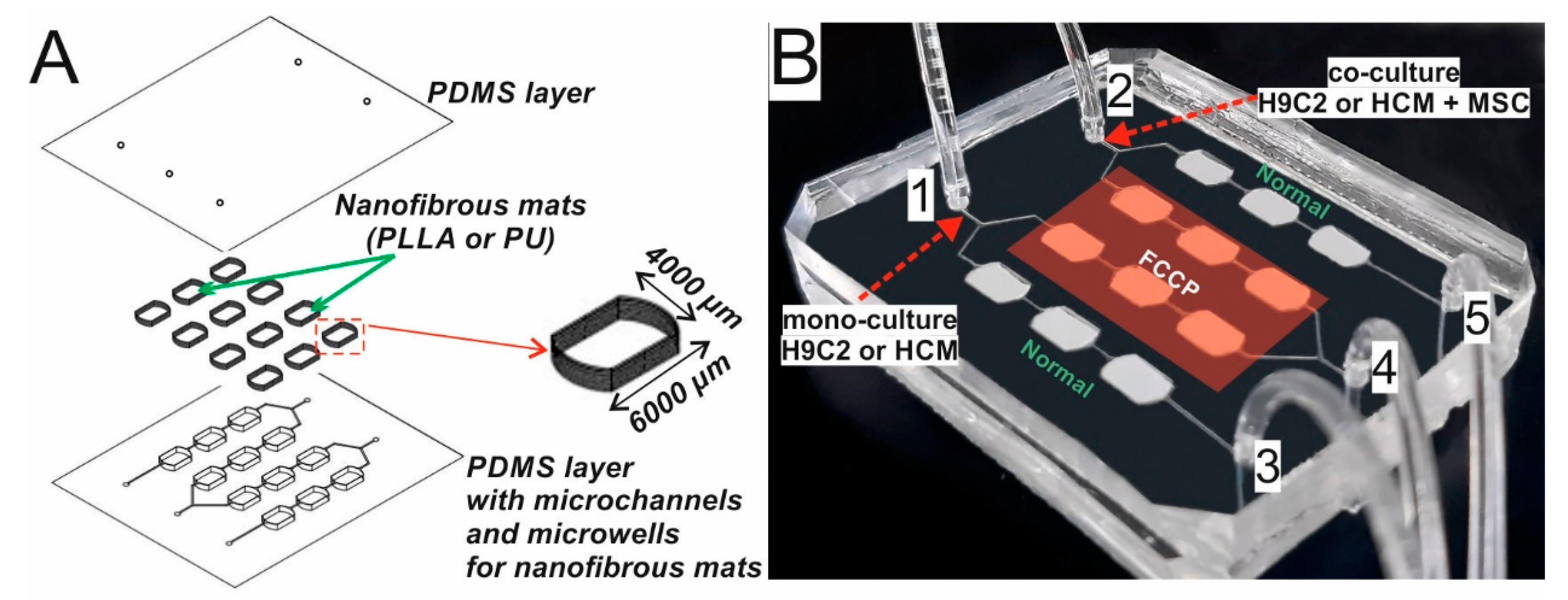 Biosensors 11 00131 g001 Biosensors 11 00131 g001