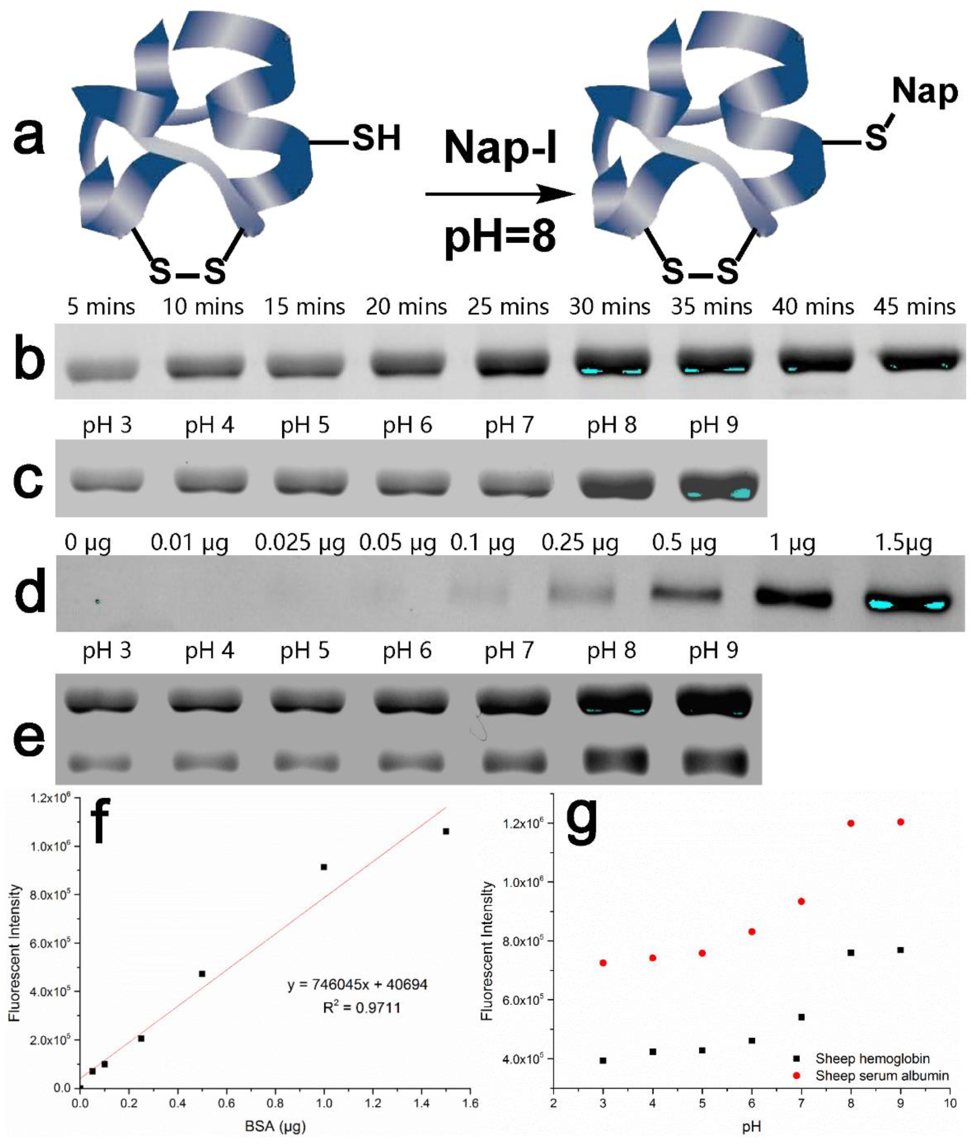 Biosensors 11 00132 g004