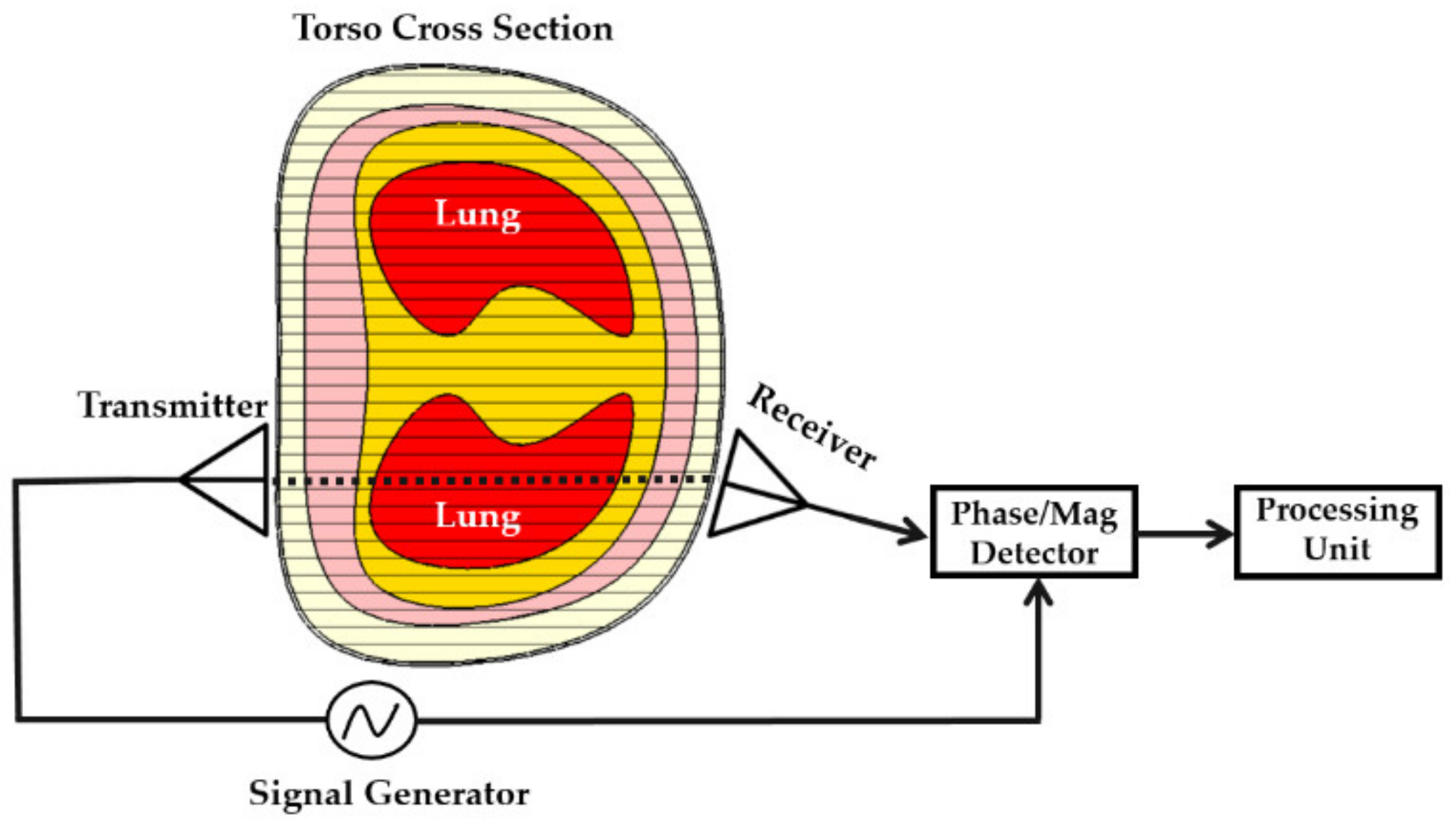Biosensors 11 00135 g001
