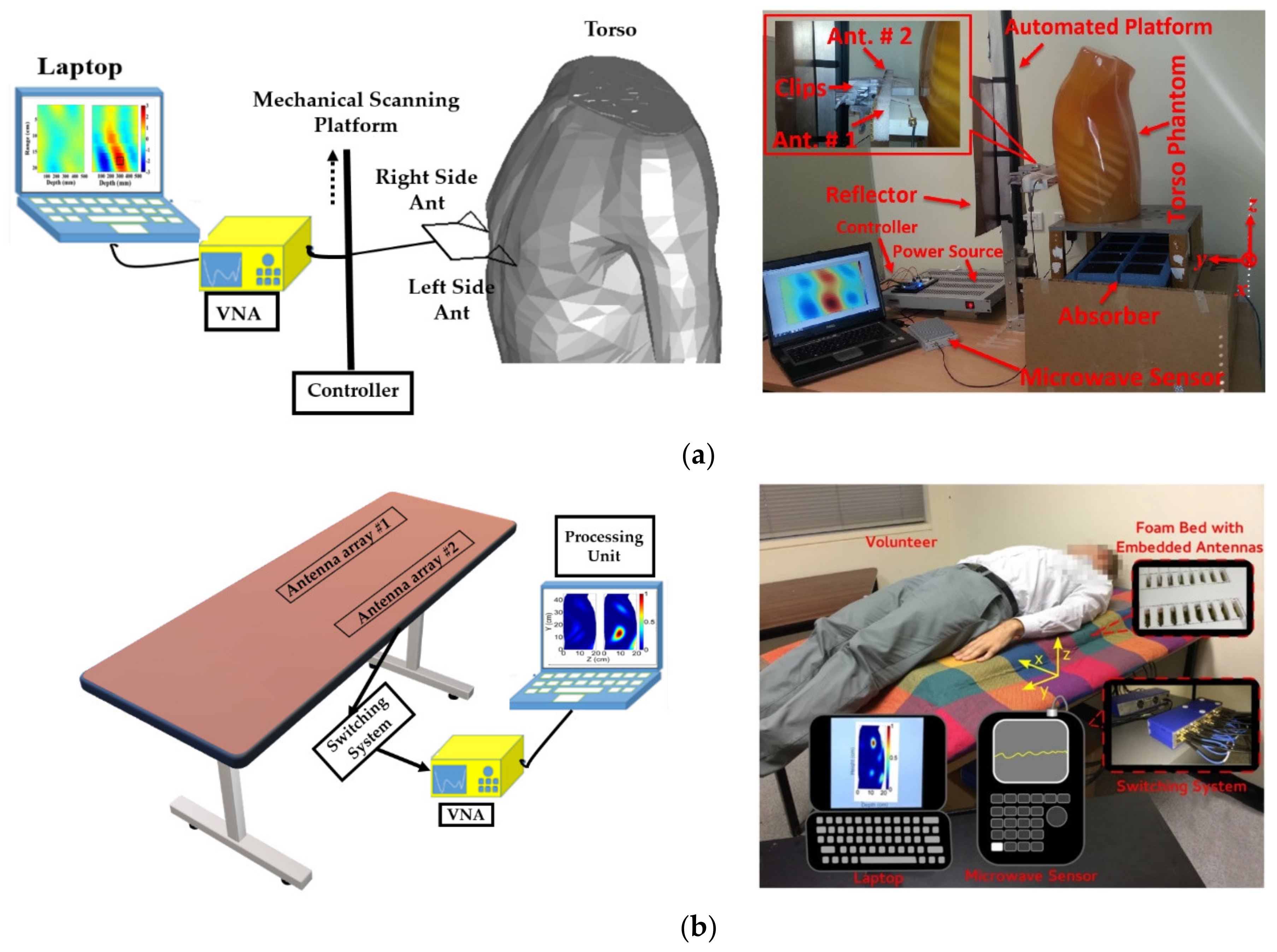 Biosensors 11 00135 g002