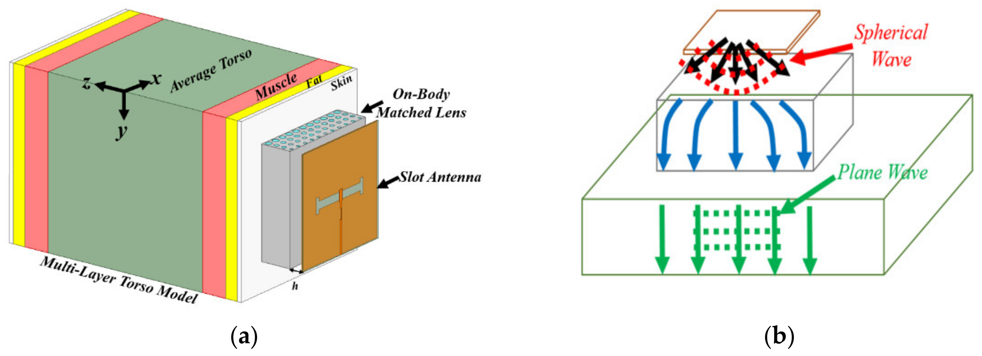Biosensors 11 00135 g011