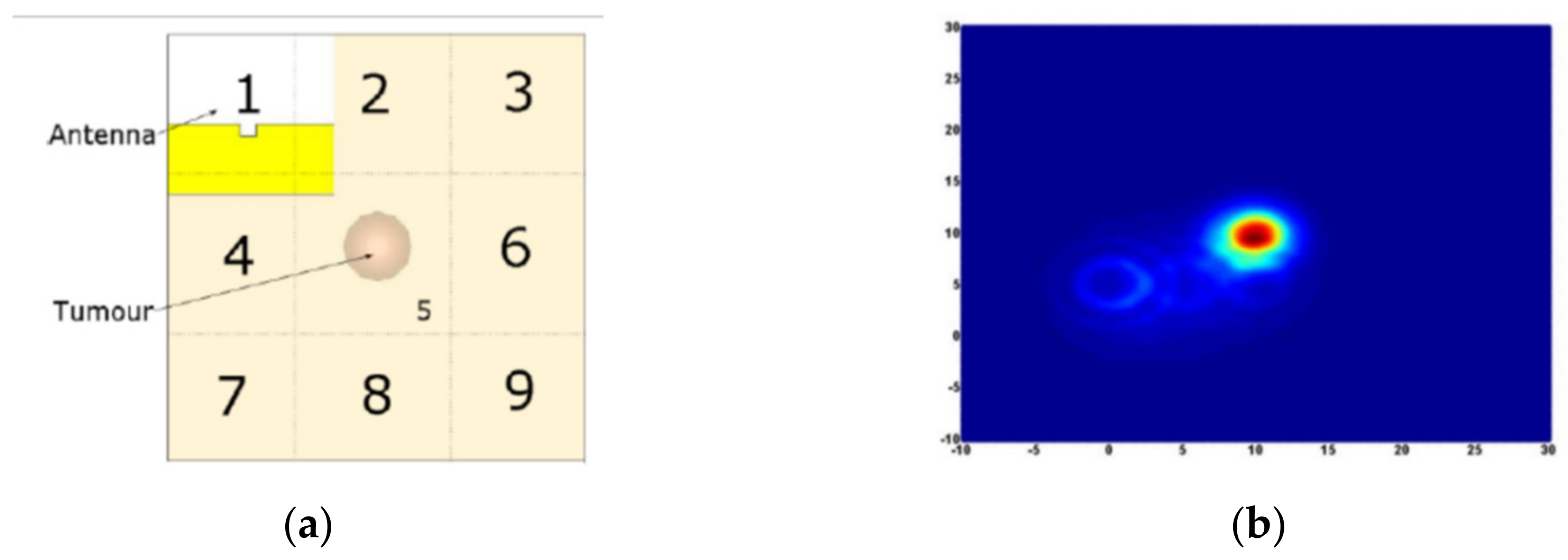 Biosensors 11 00135 g024