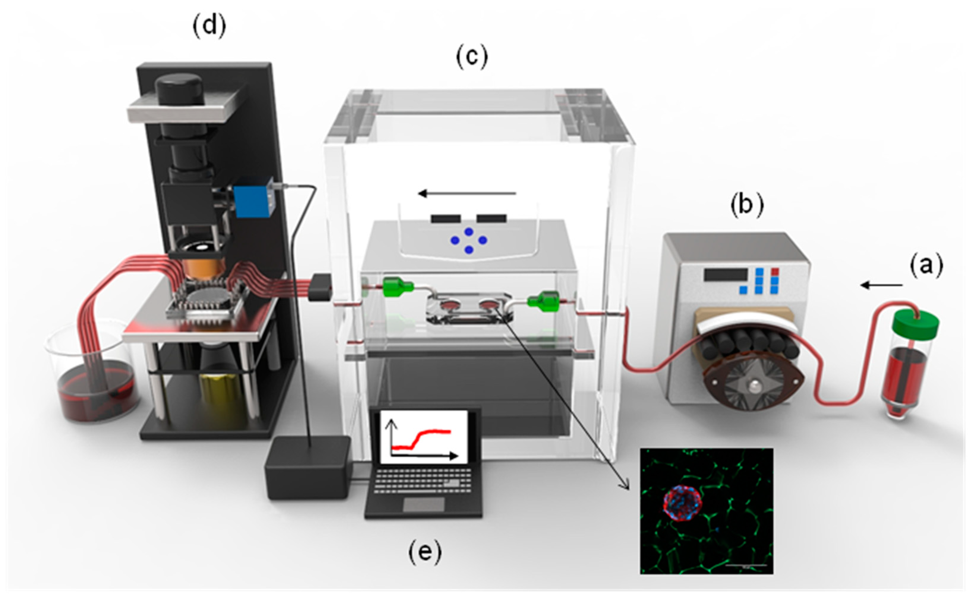 Biosensors 11 00138 g001
