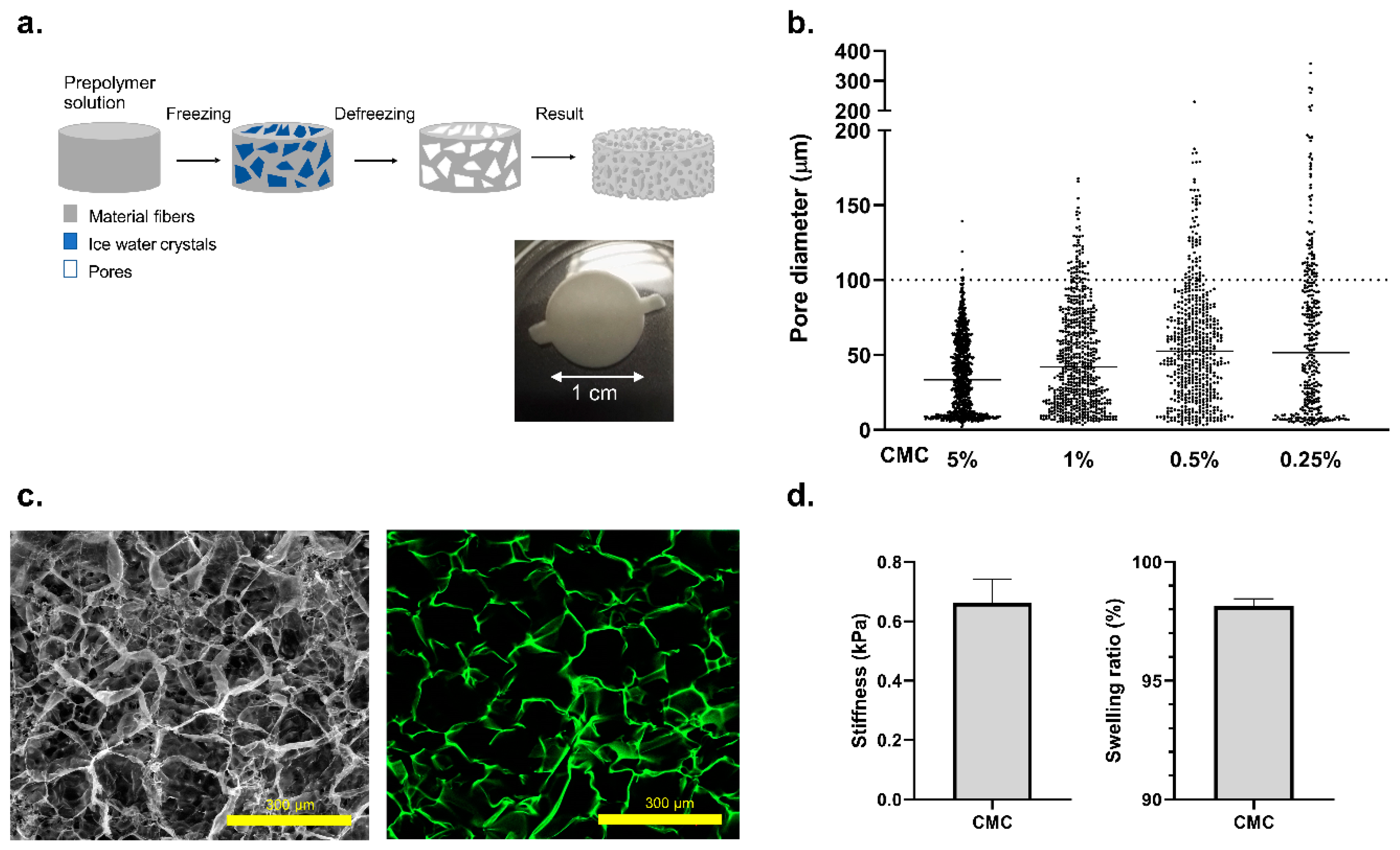 Biosensors 11 00138 g002