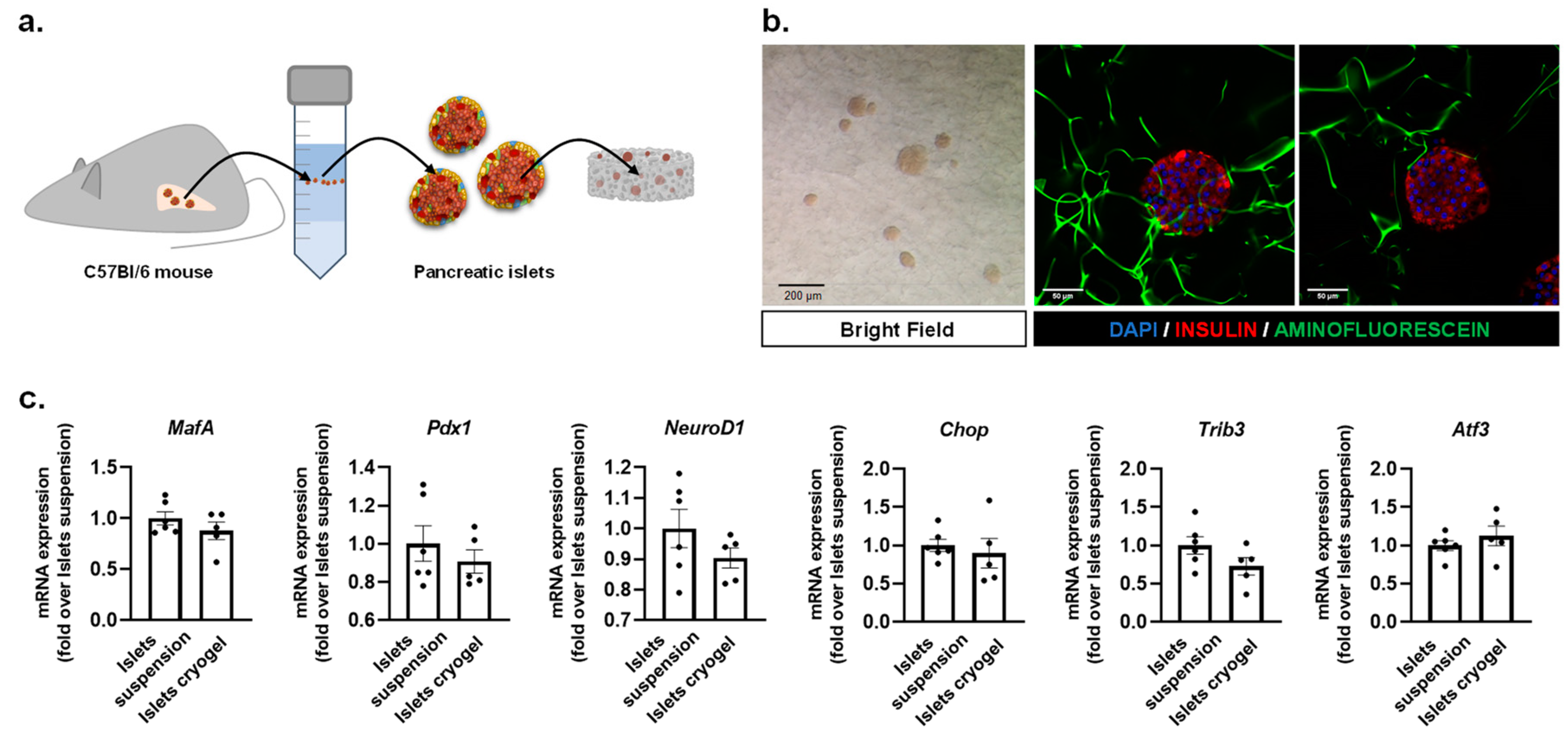 Biosensors 11 00138 g003