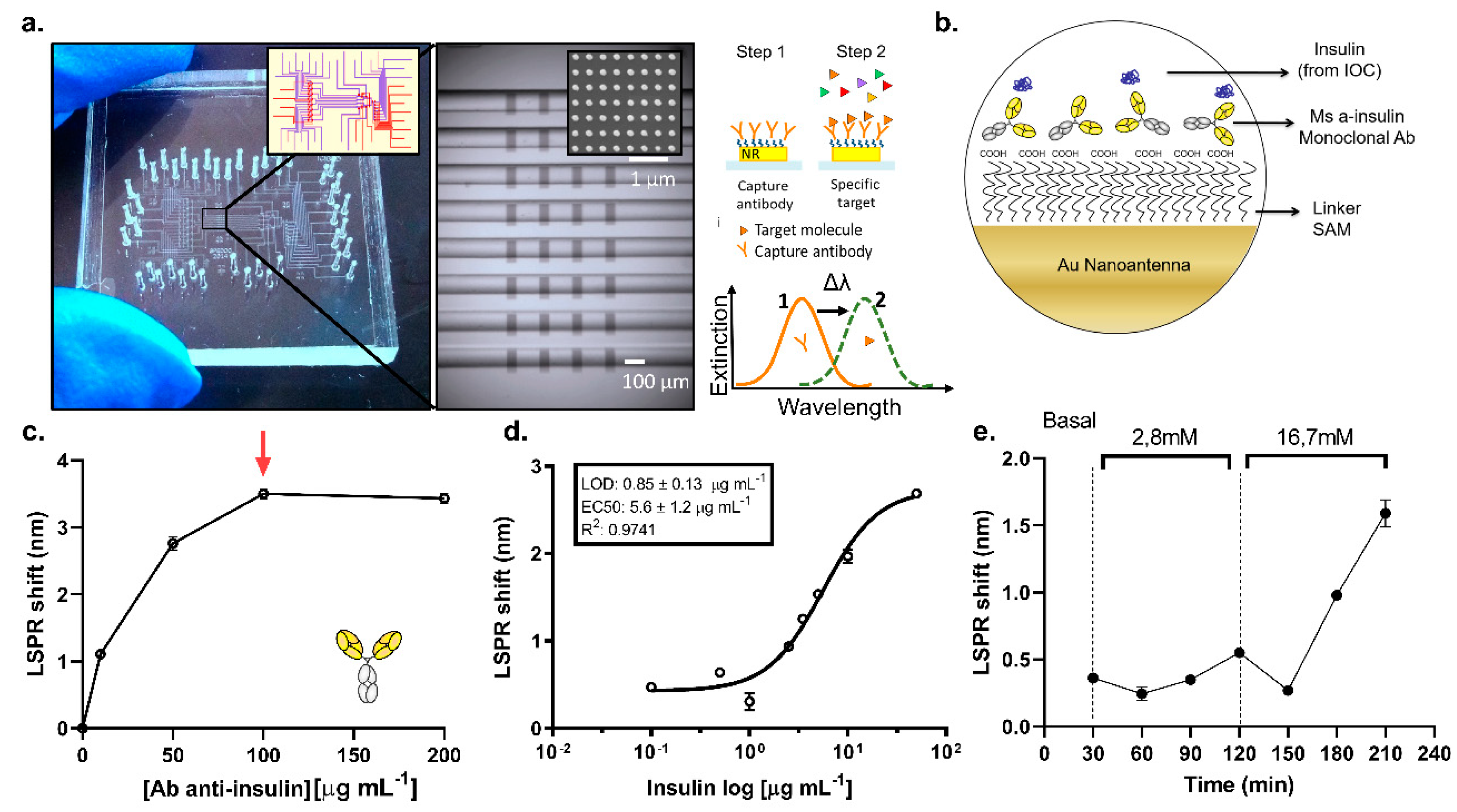 Biosensors 11 00138 g005