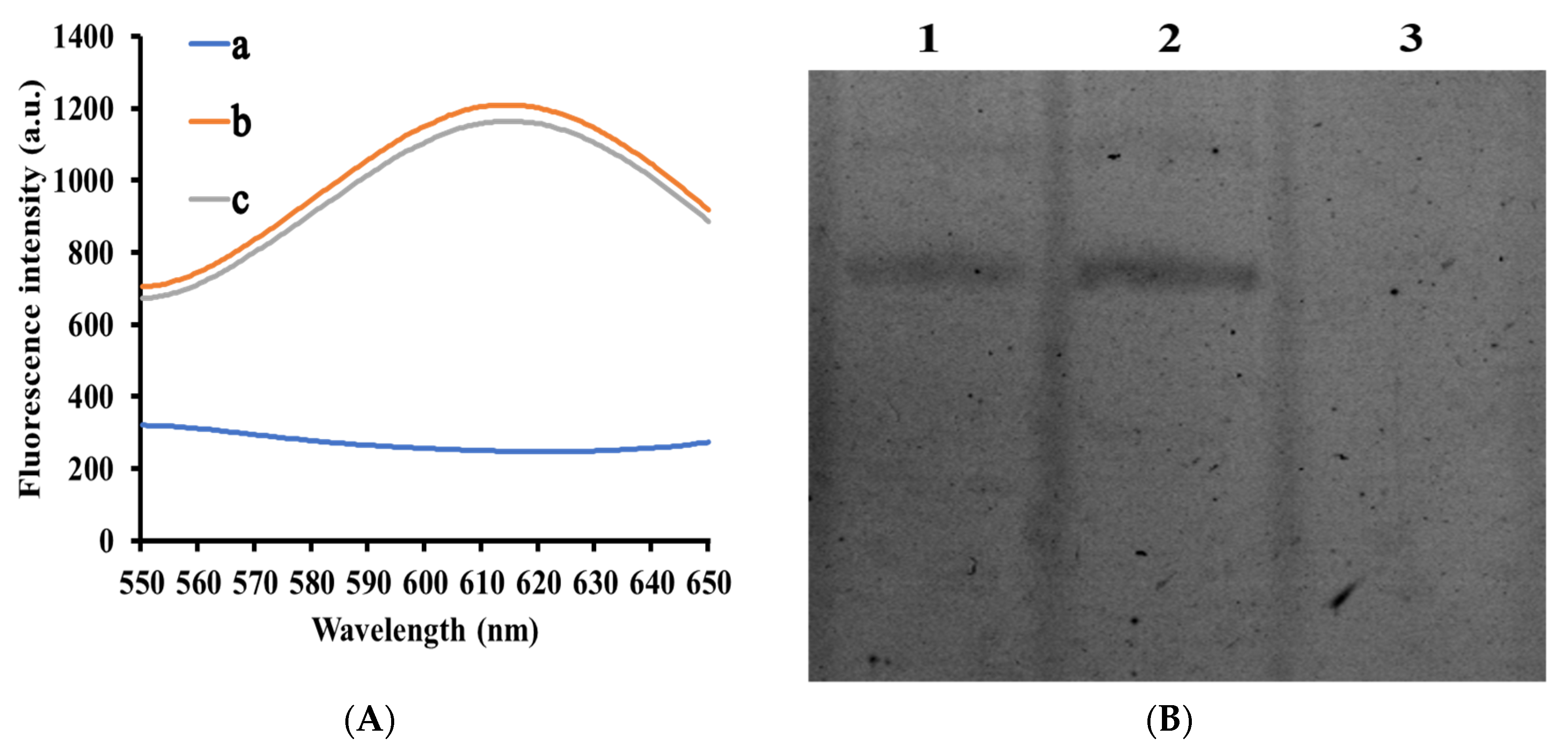 Biosensors 11 00139 g001