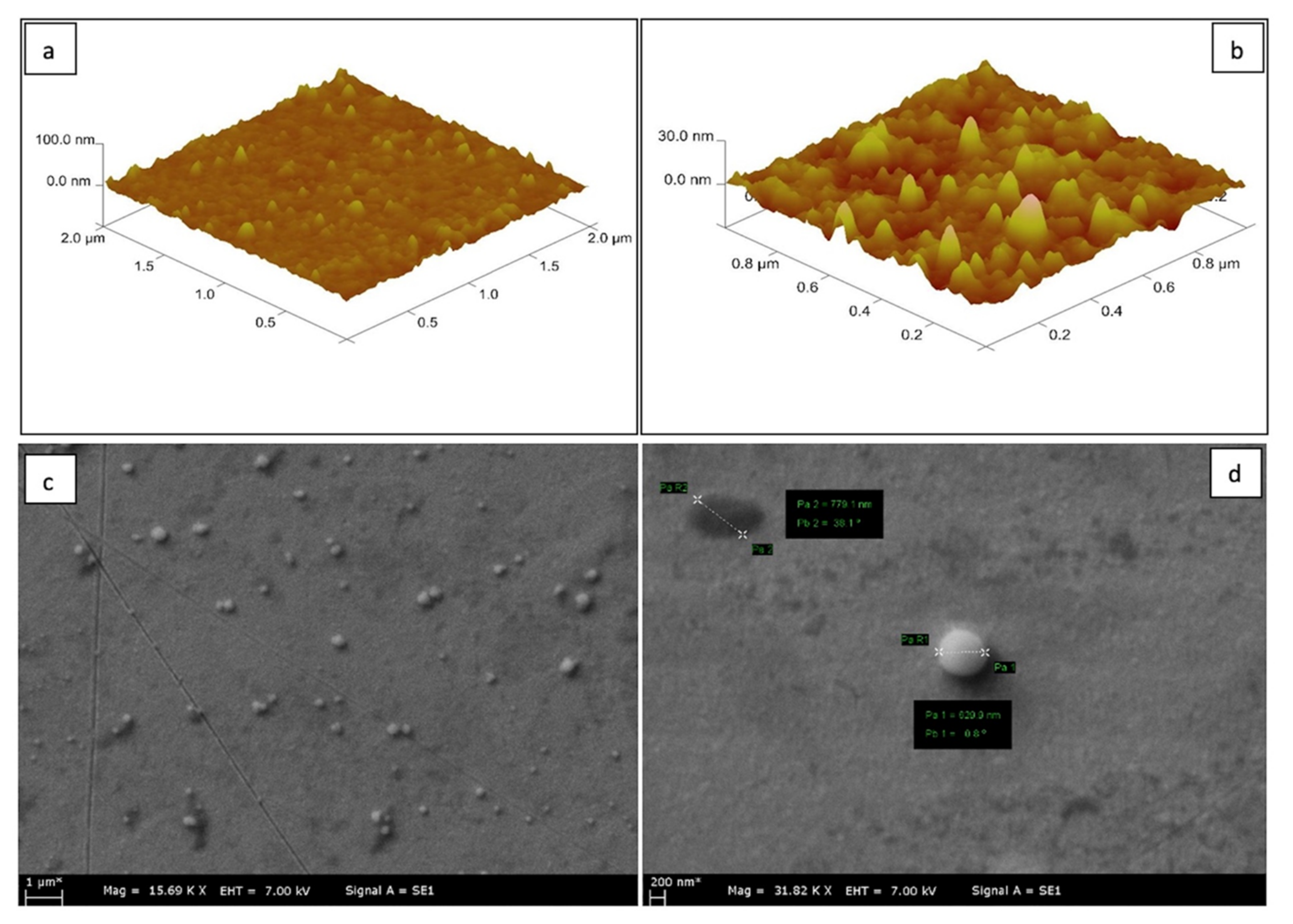 Biosensors 11 00140 g002