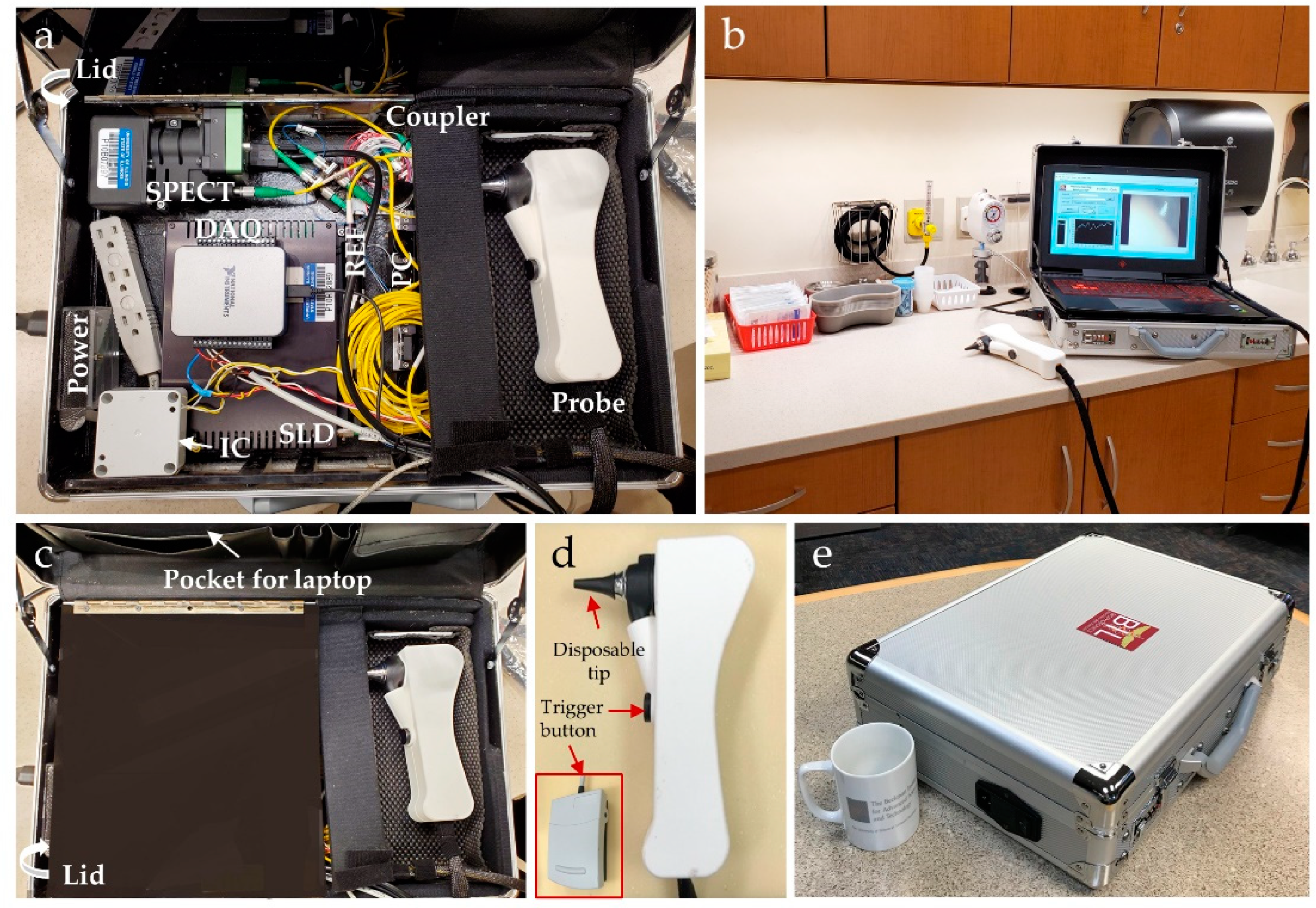 Biosensors 11 00143 g002 Biosensors 11 00143 g002