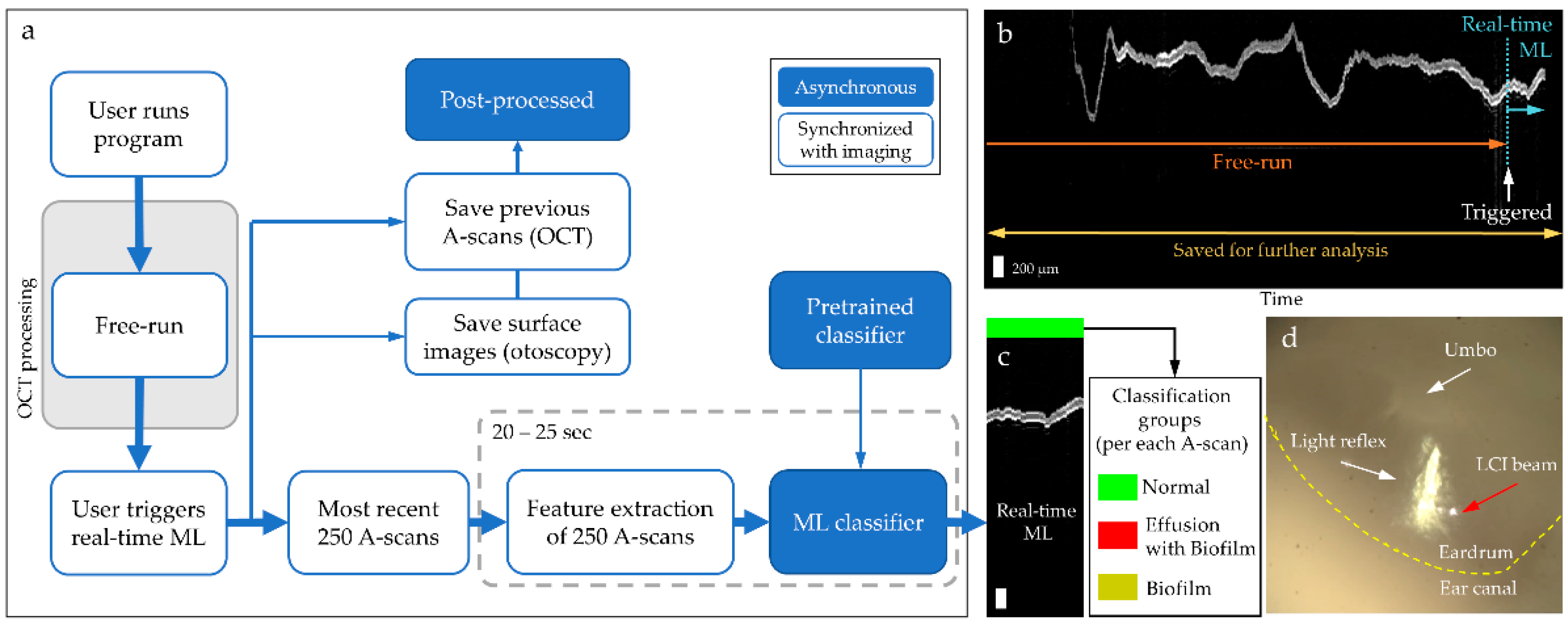 Biosensors 11 00143 g003 Biosensors 11 00143 g003