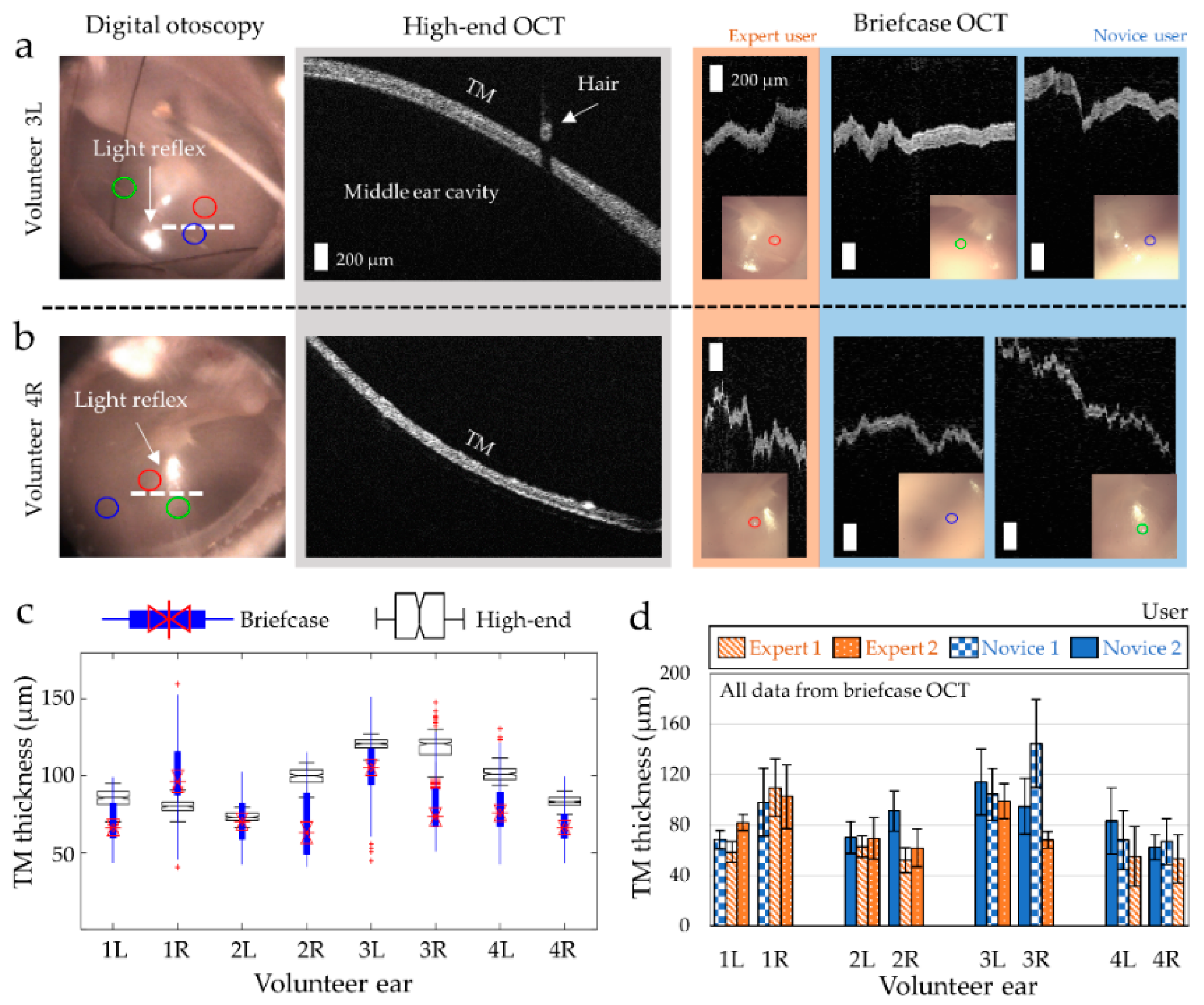 Biosensors 11 00143 g004 Biosensors 11 00143 g004